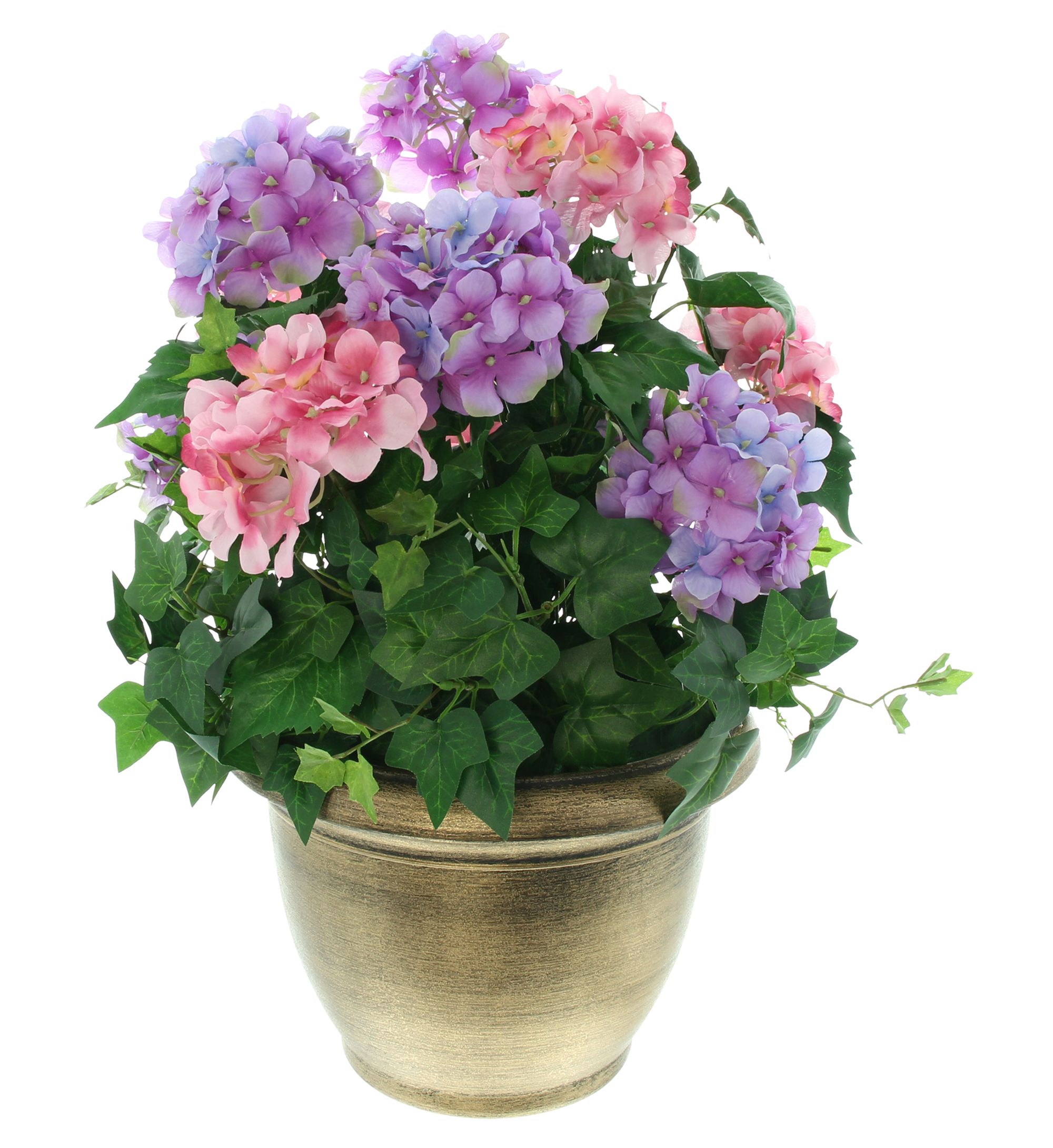 Acheter Hortensias en pot  dans la boutique en ligne de Frank Flechtwaren pour Plantes artificielles