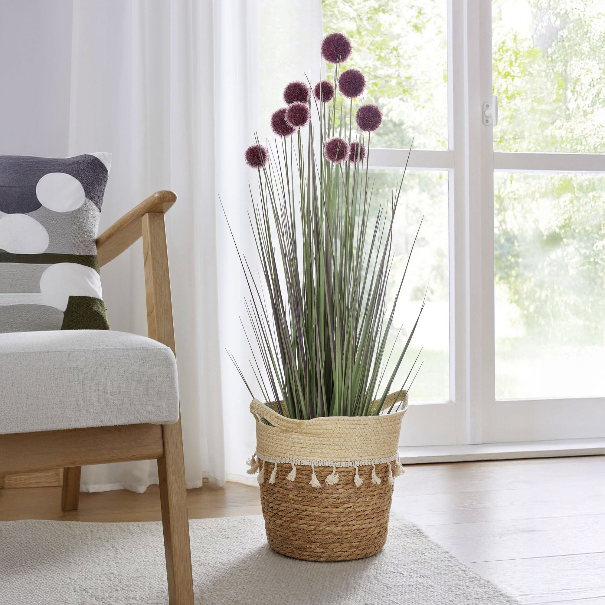 Topfpflanze "Allium"  im Frank Flechtwaren Online Shop kaufen