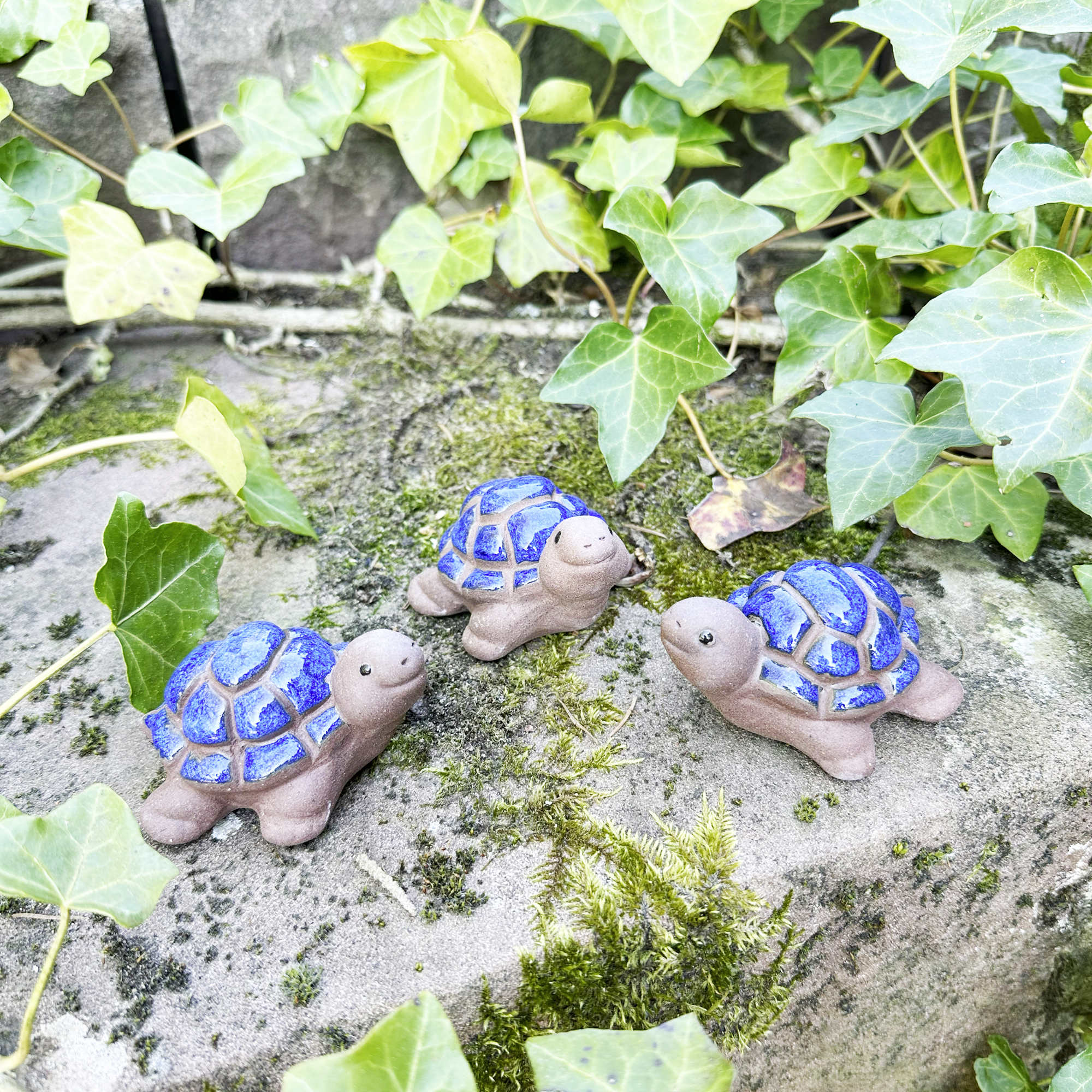Figur "Schildkröte", 3er Set  im Frank Flechtwaren Online Shop kaufen