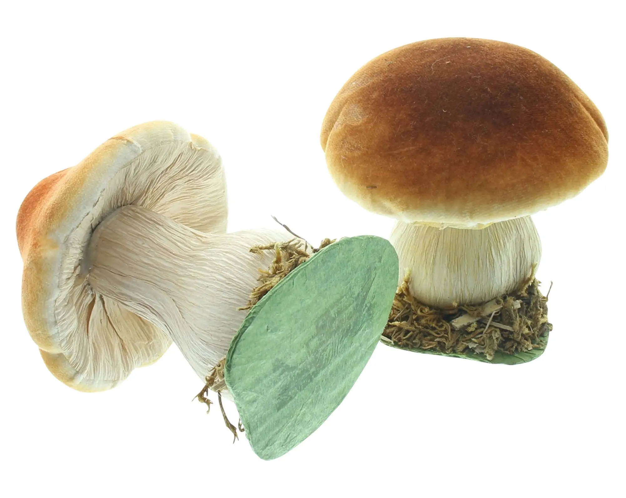 Herbst-Deko "Pilzchen", 2er Set  im Frank Flechtwaren Online Shop für Waldspaziergang kaufen