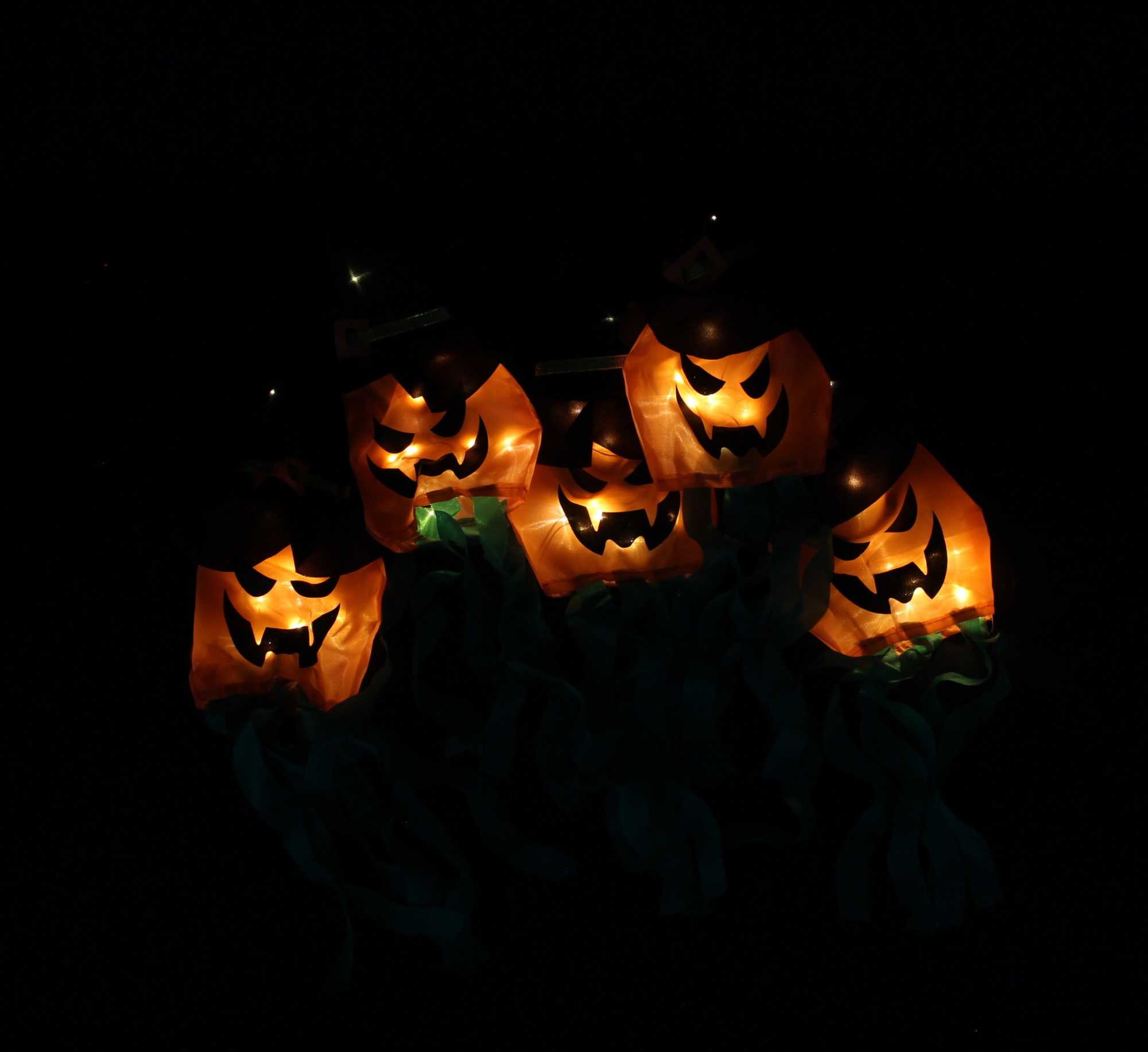 LED-Lichterkette "Halloween" im Frank Flechtwaren Online Shop für Herbst kaufen LED-Lichterkette "Halloween" im Frank Flechtwaren Online Shop für Herbst kaufen