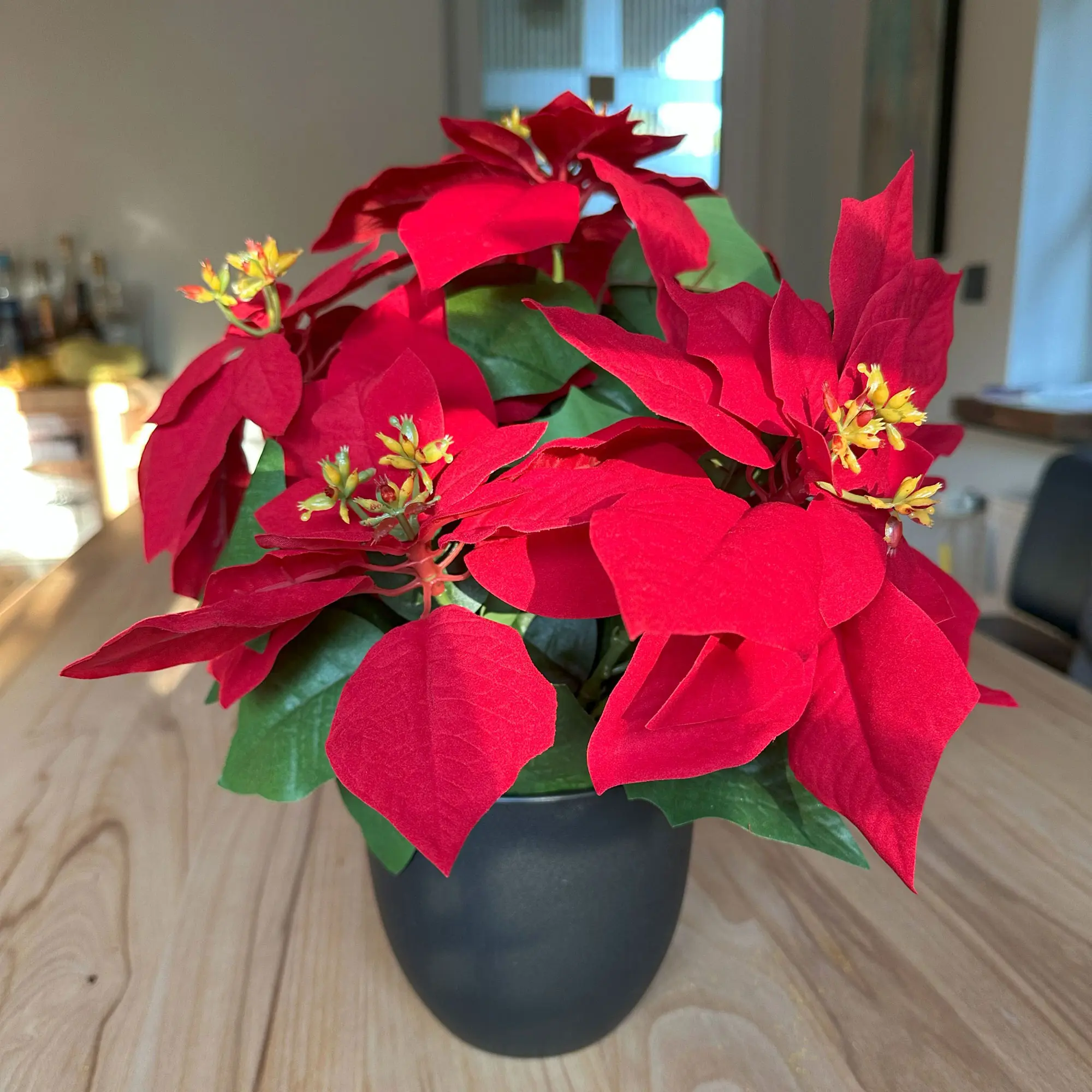 Kunstblume "Großer Weihnachtsstern"  im Frank Flechtwaren Online Shop kaufen