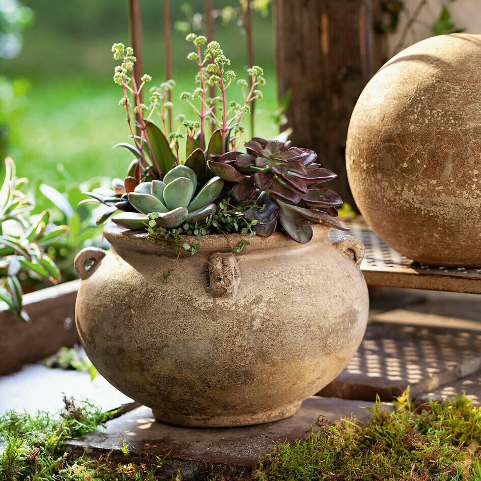 Pflanztopf "Rustic"  im Frank Flechtwaren Online Shop kaufen