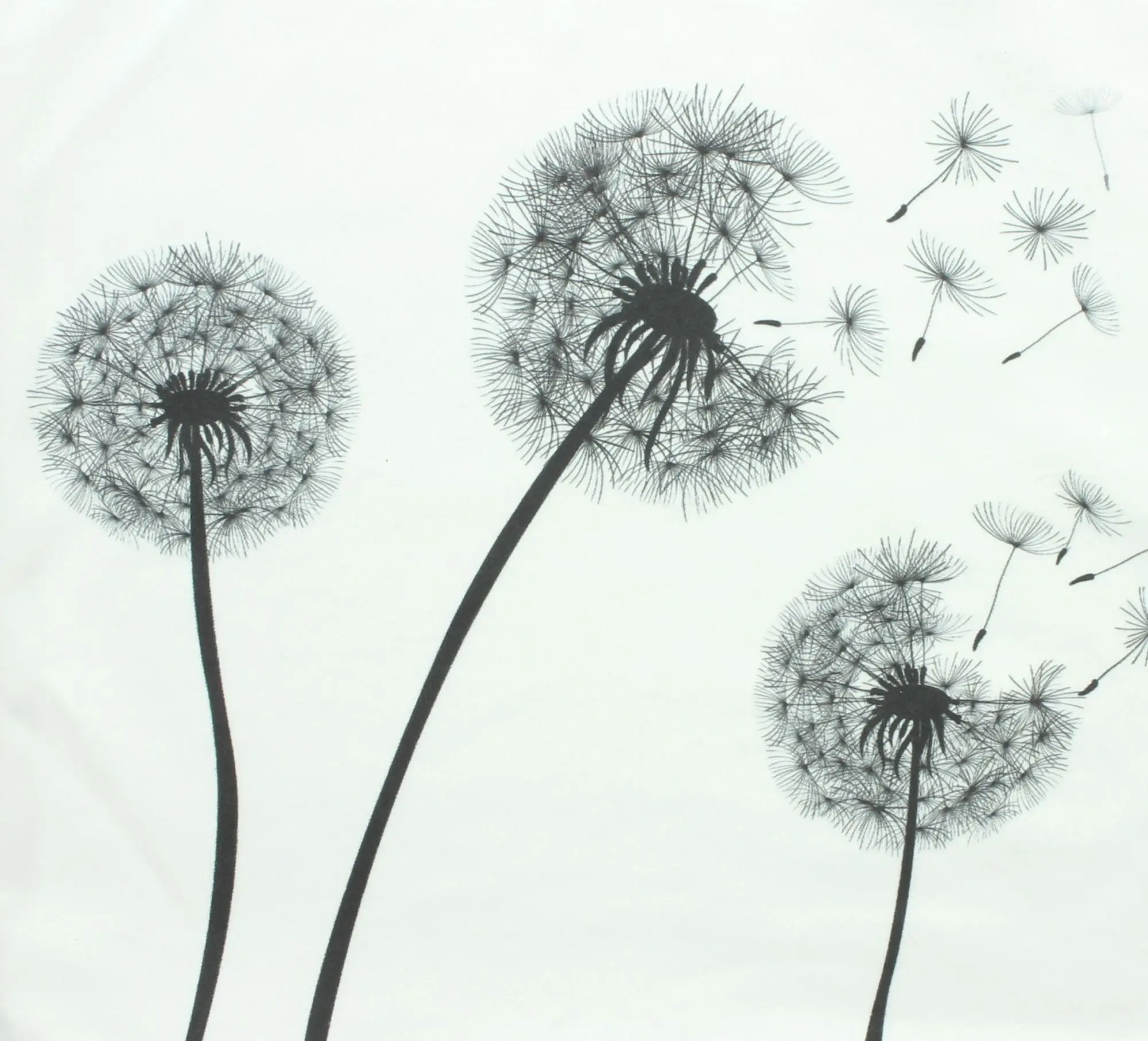 Kissenhülle "Pusteblume" im Frank Flechtwaren Online Shop für Kissenhüllen kaufen Kissenhülle "Pusteblume" im Frank Flechtwaren Online Shop für Kissenhüllen kaufen