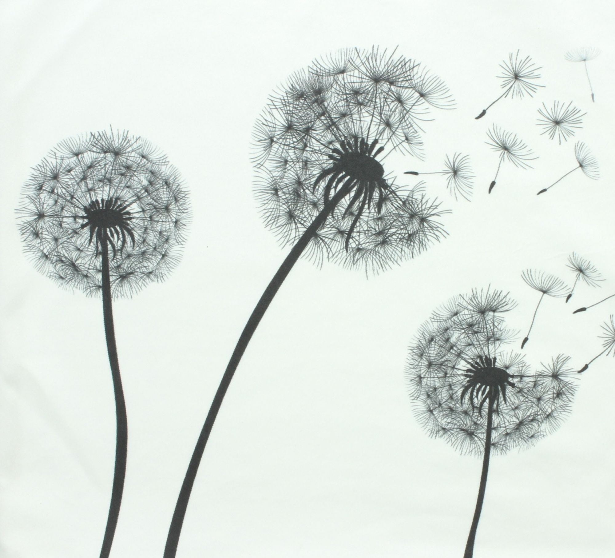 Kissenhülle "Pusteblume" im Frank Flechtwaren Online Shop für Kissenhüllen kaufen Kissenhülle "Pusteblume" im Frank Flechtwaren Online Shop für Kissenhüllen kaufen