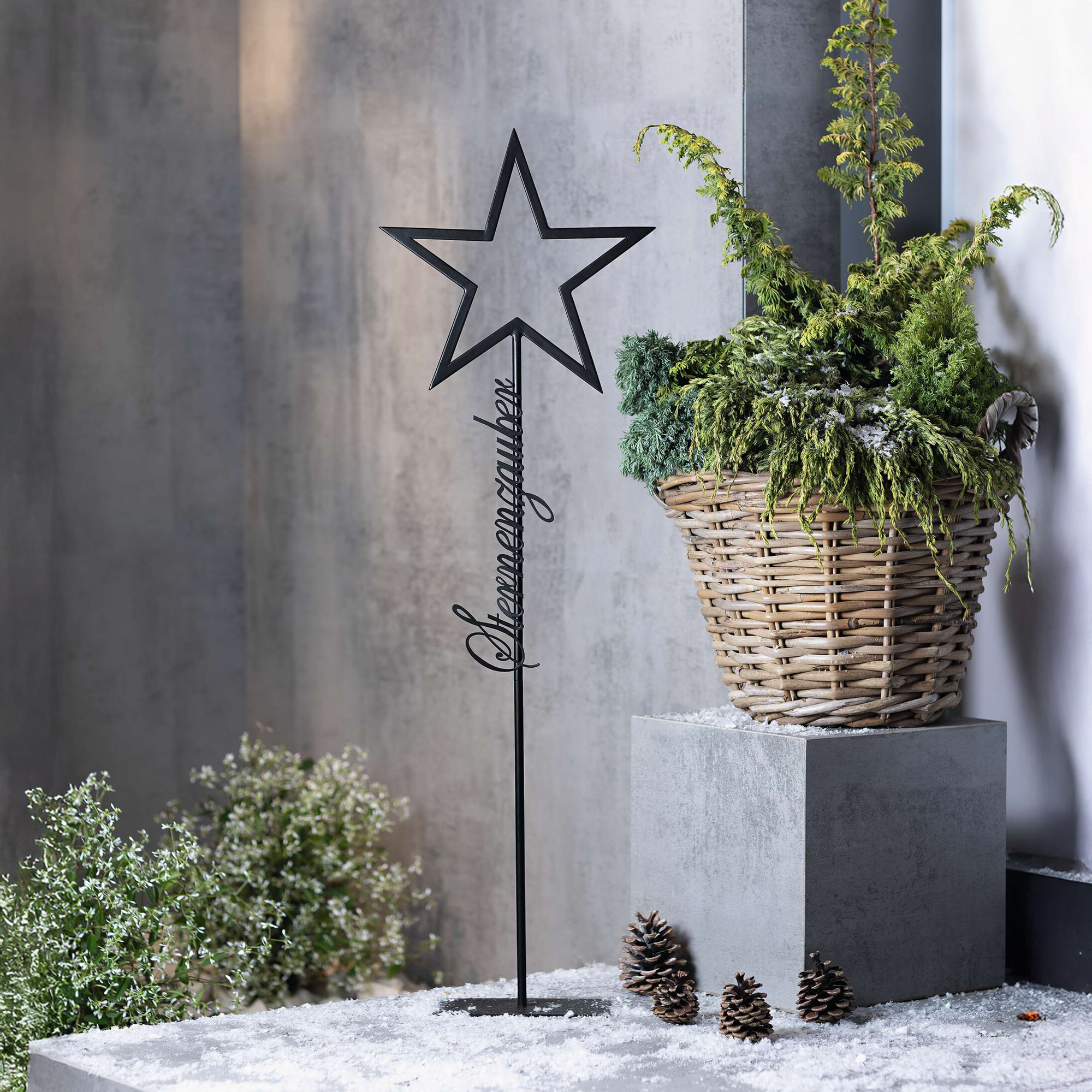 Metalldeko "Sternenzauber"  im Frank Flechtwaren Online Shop kaufen