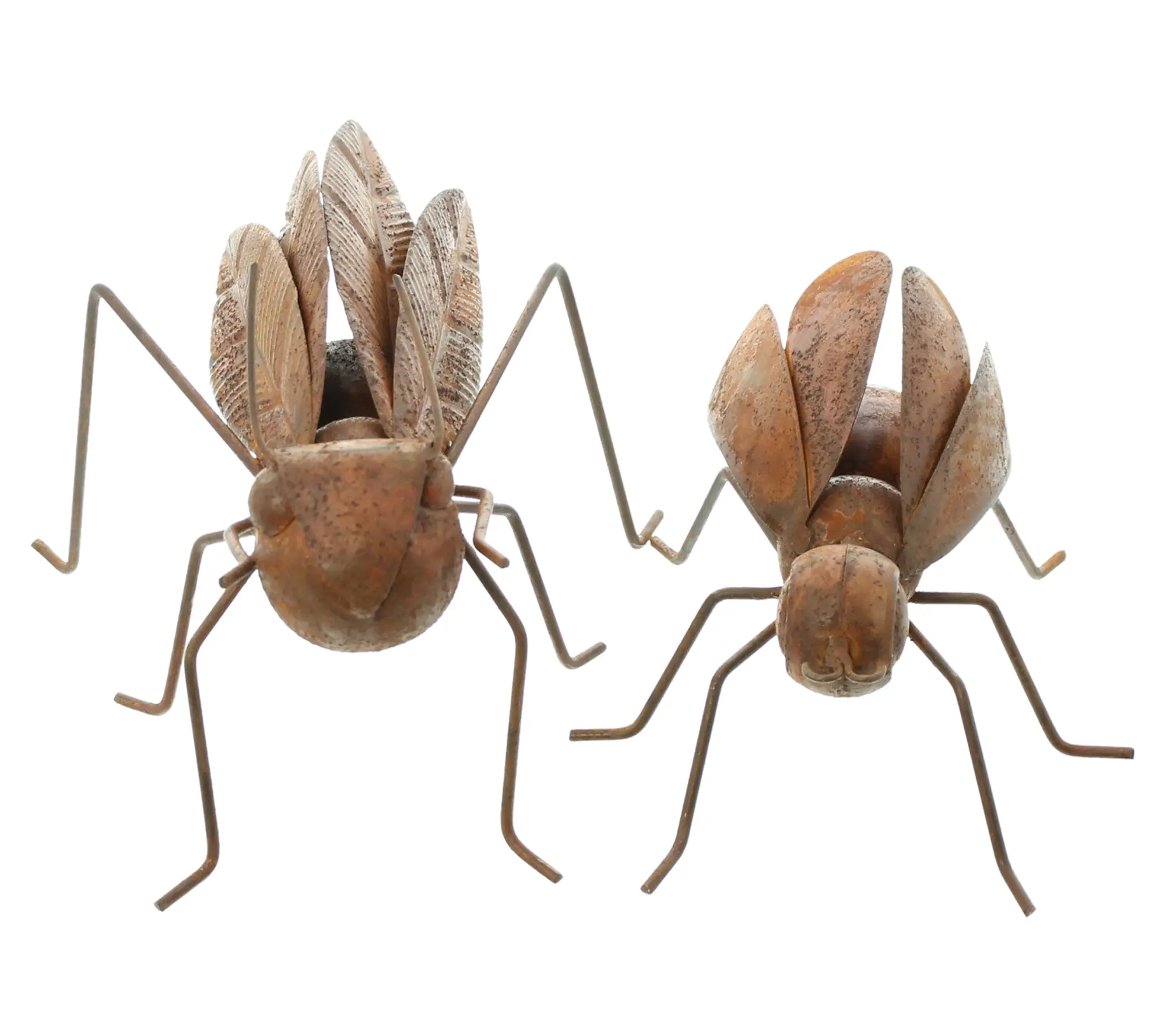 Gartenfigur "Insekten", 2er Set im Frank Flechtwaren Online Shop für Gartenfiguren kaufen Gartenfigur "Insekten", 2er Set im Frank Flechtwaren Online Shop für Gartenfiguren kaufen