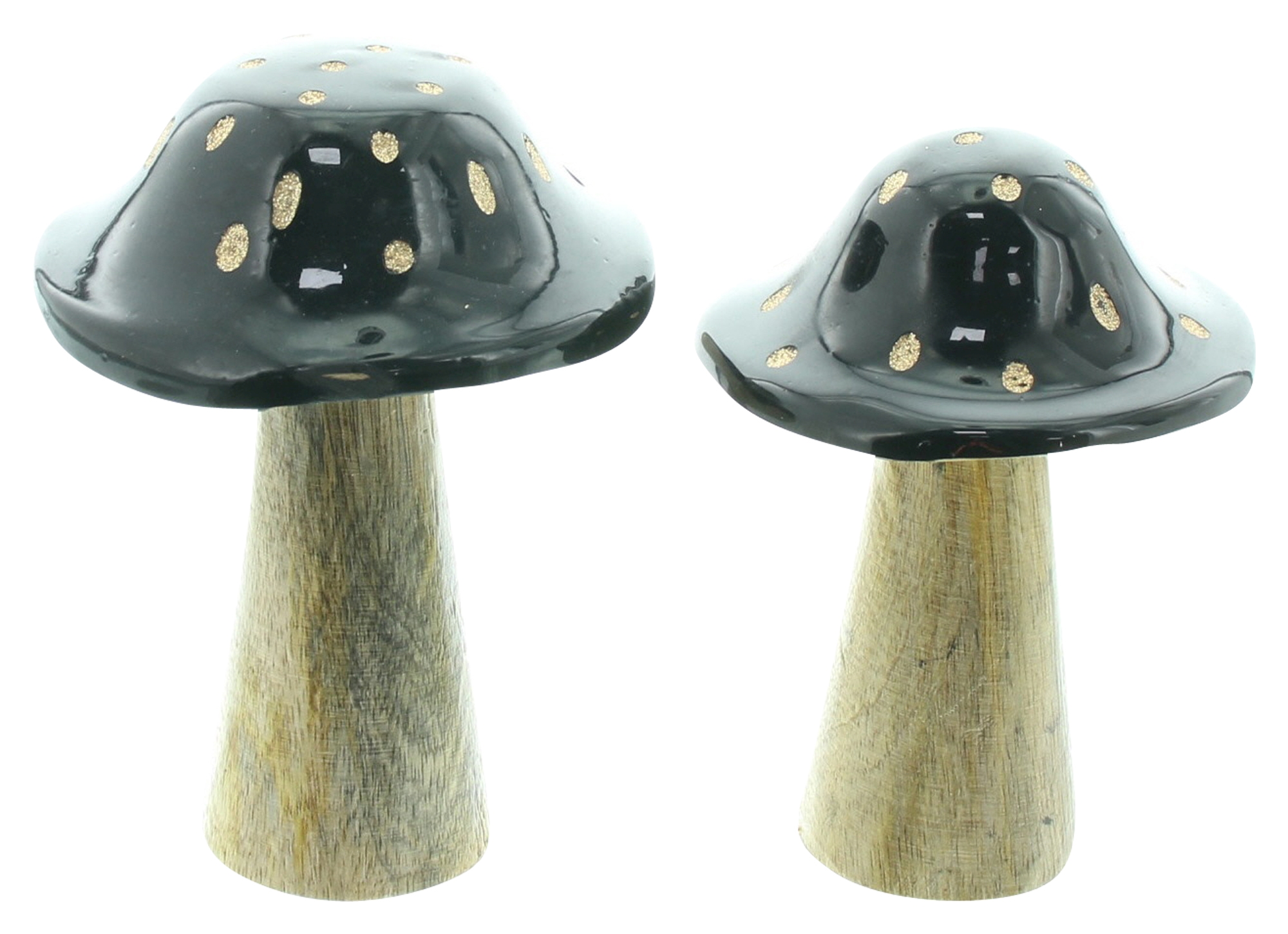 Pilz "Blacky", 2er Set  im Frank Flechtwaren Online Shop für Herbst kaufen