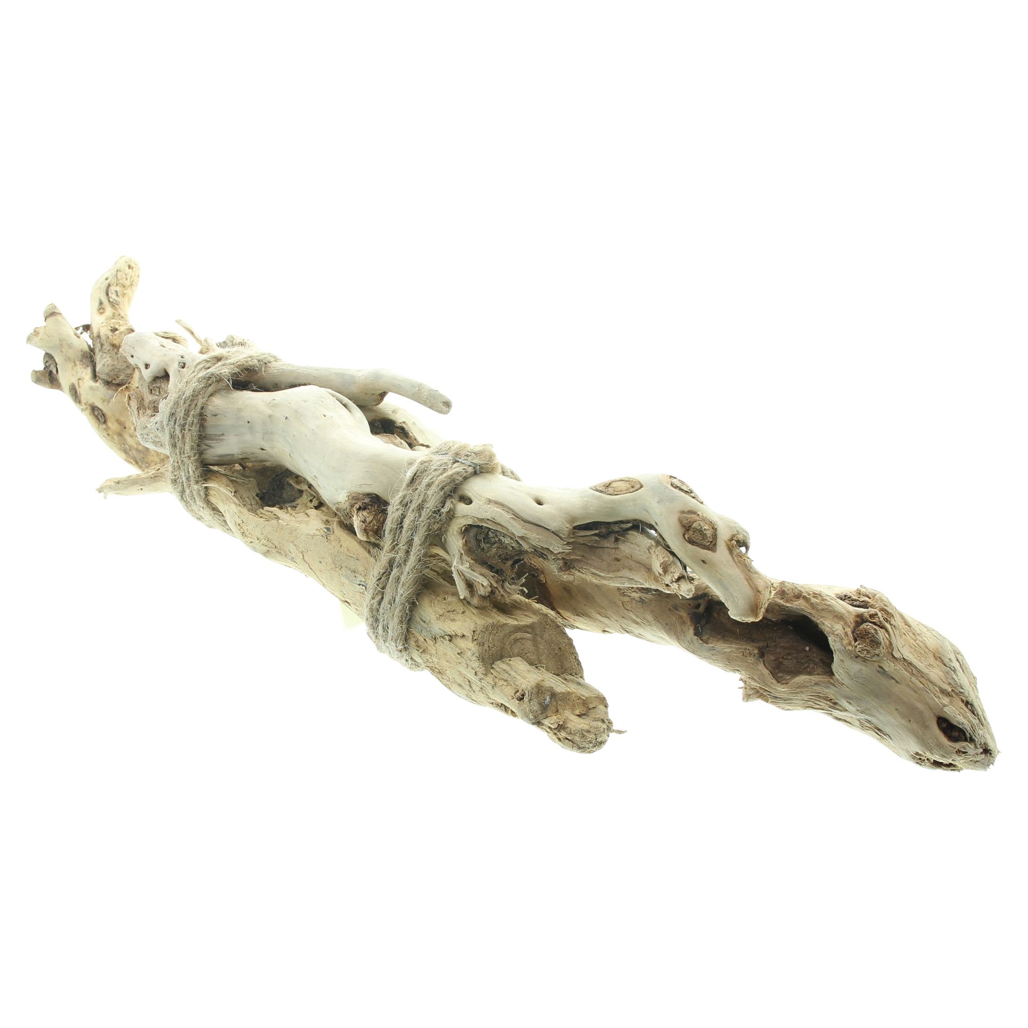 Bündel "Wurzelholz"  im Frank Flechtwaren Online Shop für Dekobündel kaufen