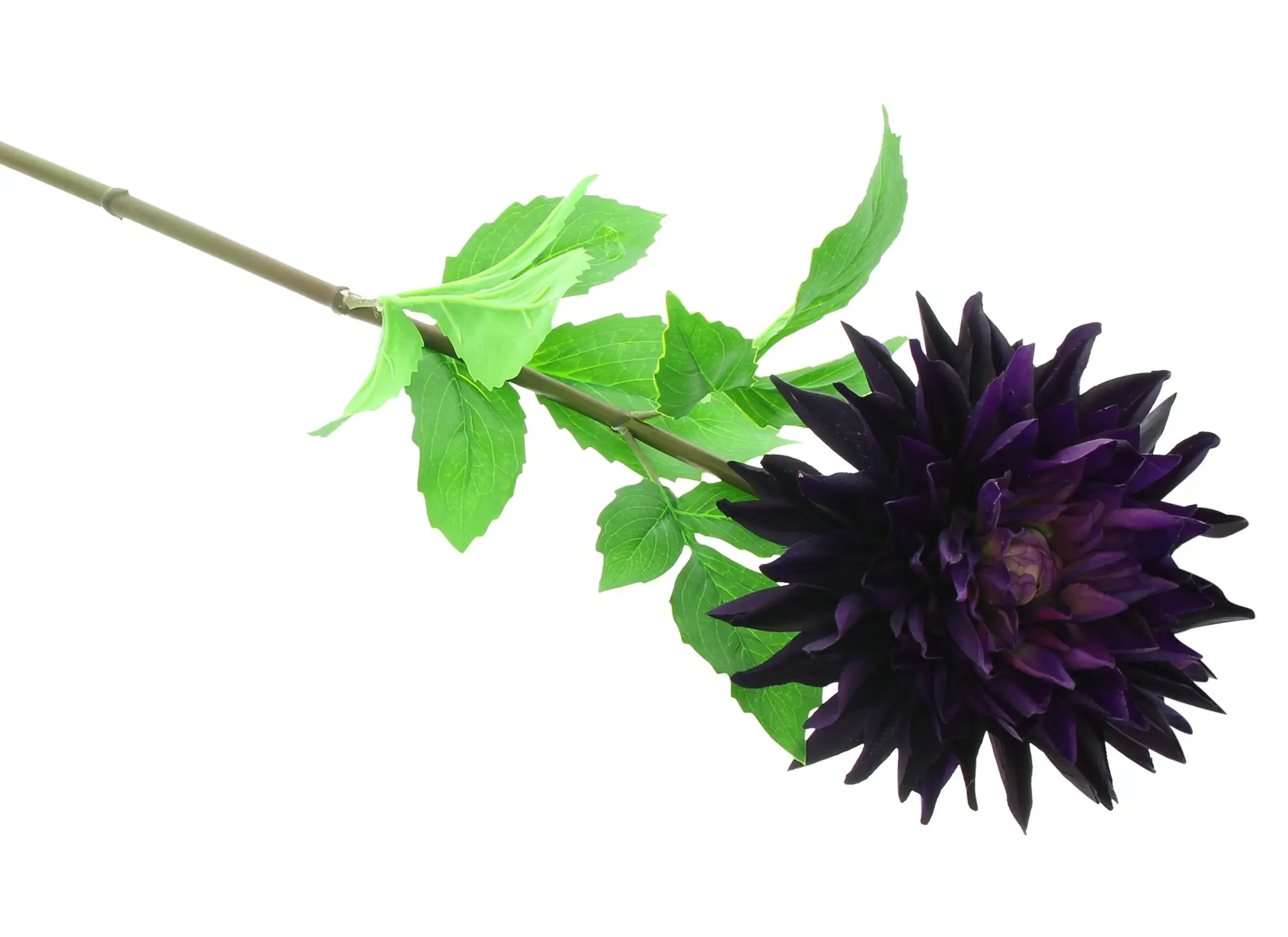 Kunstblume "Dahlie Purple Touch", 3er Set  im Frank Flechtwaren Online Shop für Beerentöne kaufen