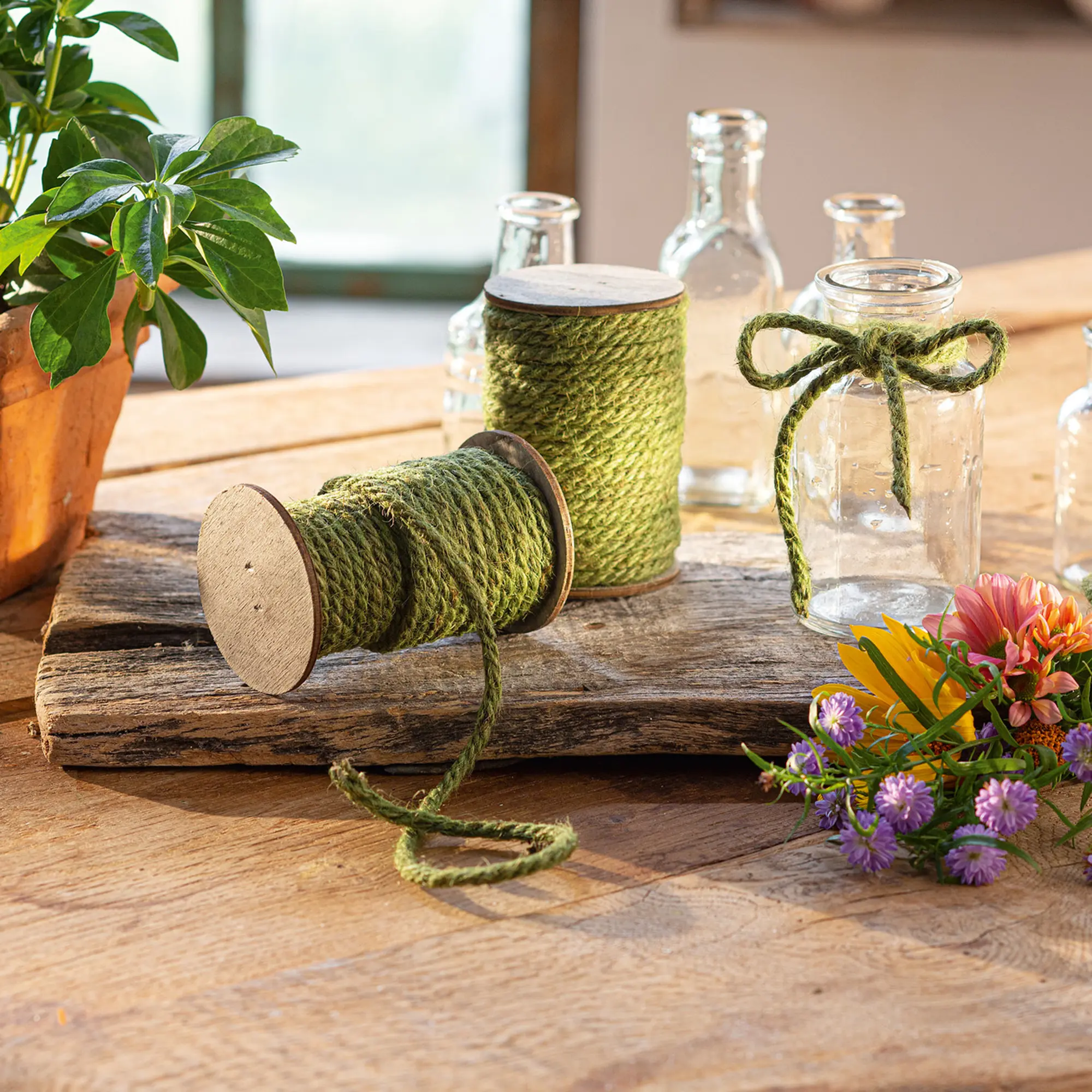 Kordel "Grün", 2er Set  im Frank Flechtwaren Online Shop kaufen