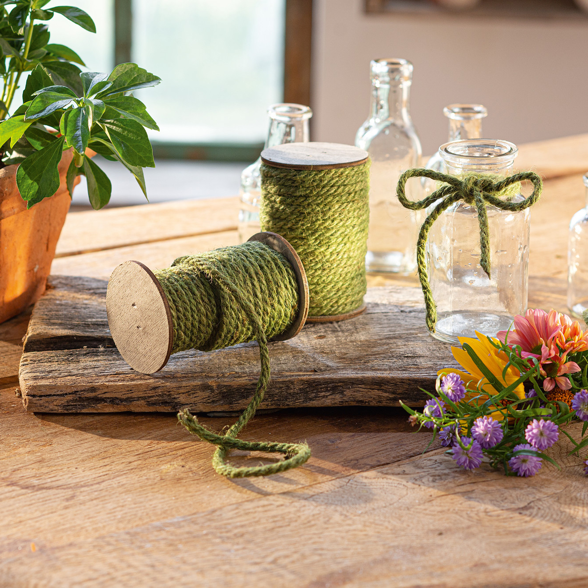 Kordel "Grün", 2er Set  im Frank Flechtwaren Online Shop kaufen