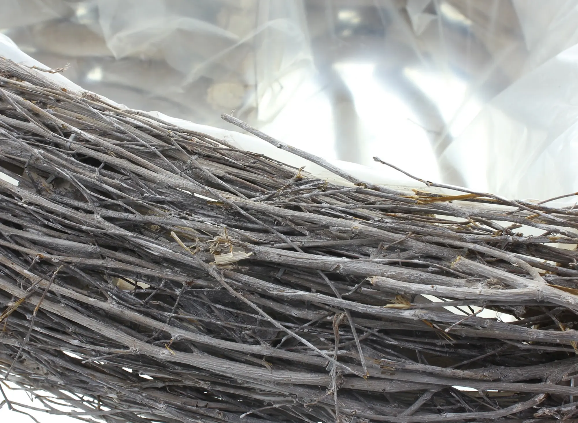 Pflanzer "Herz"  im Frank Flechtwaren Online Shop für Gerade eingetroffen kaufen