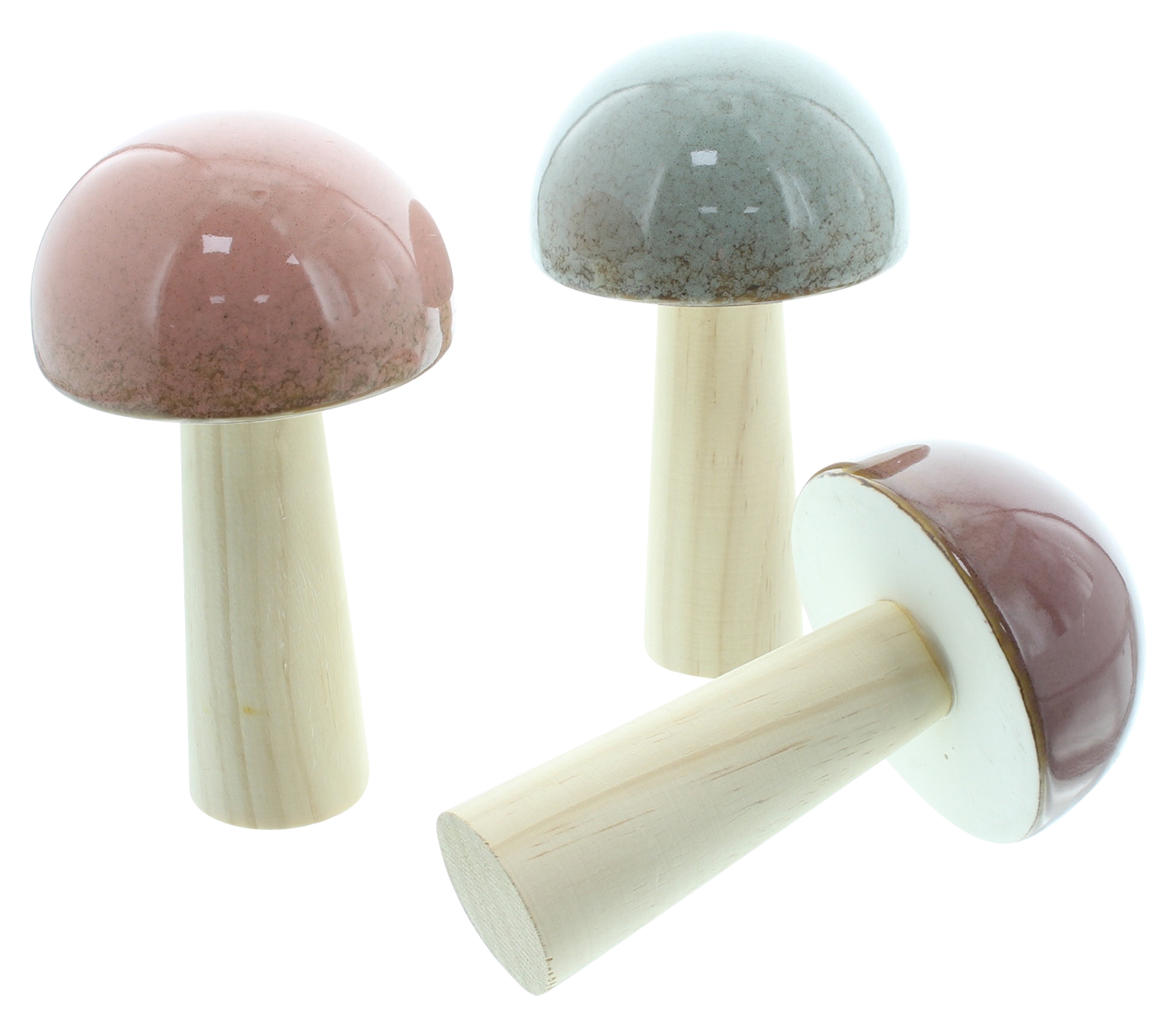 Pilz "Glossy", 3er Set  im Frank Flechtwaren Online Shop für Herbst kaufen
