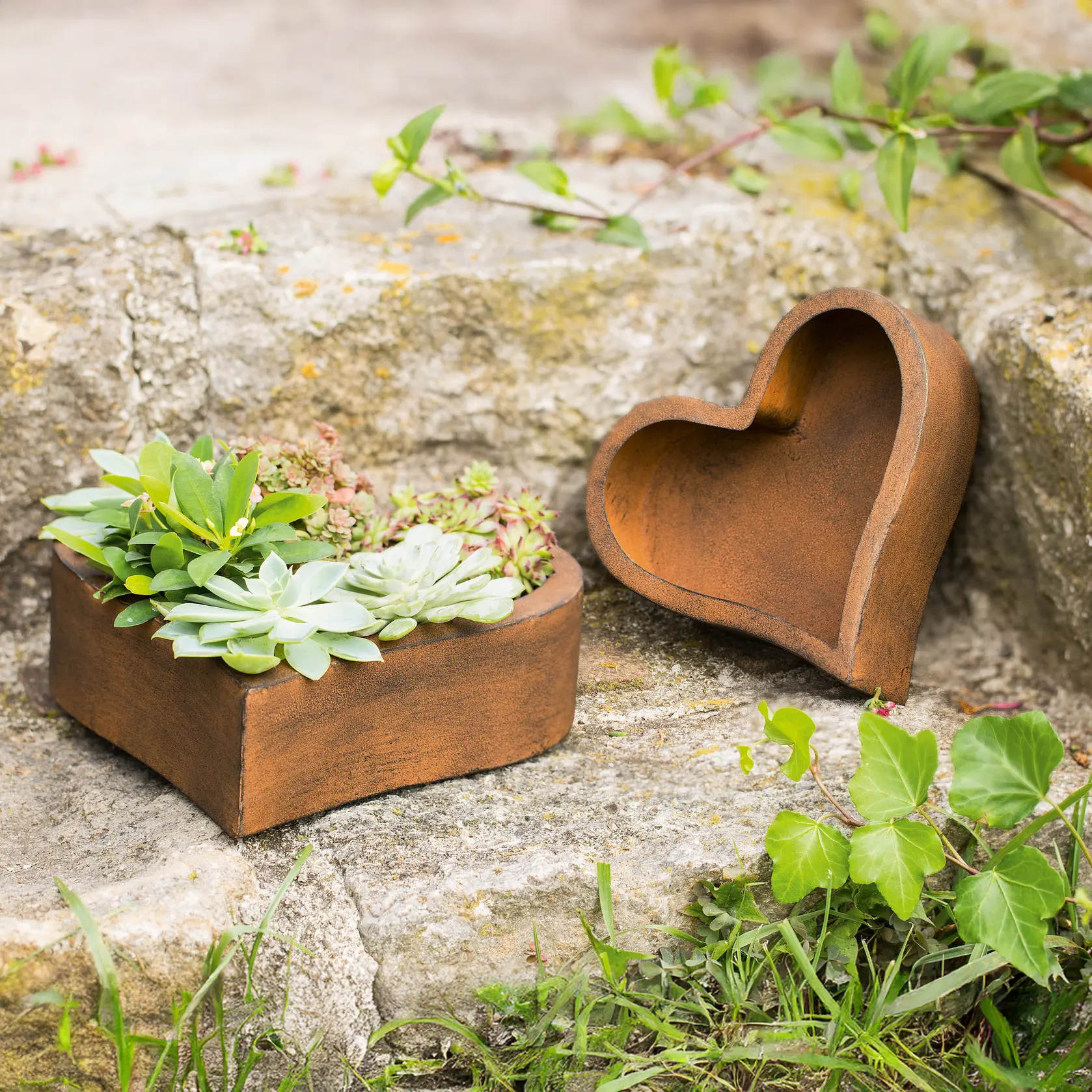 Pflanzer "Rostherz", 2er Set  im Frank Flechtwaren Online Shop kaufen