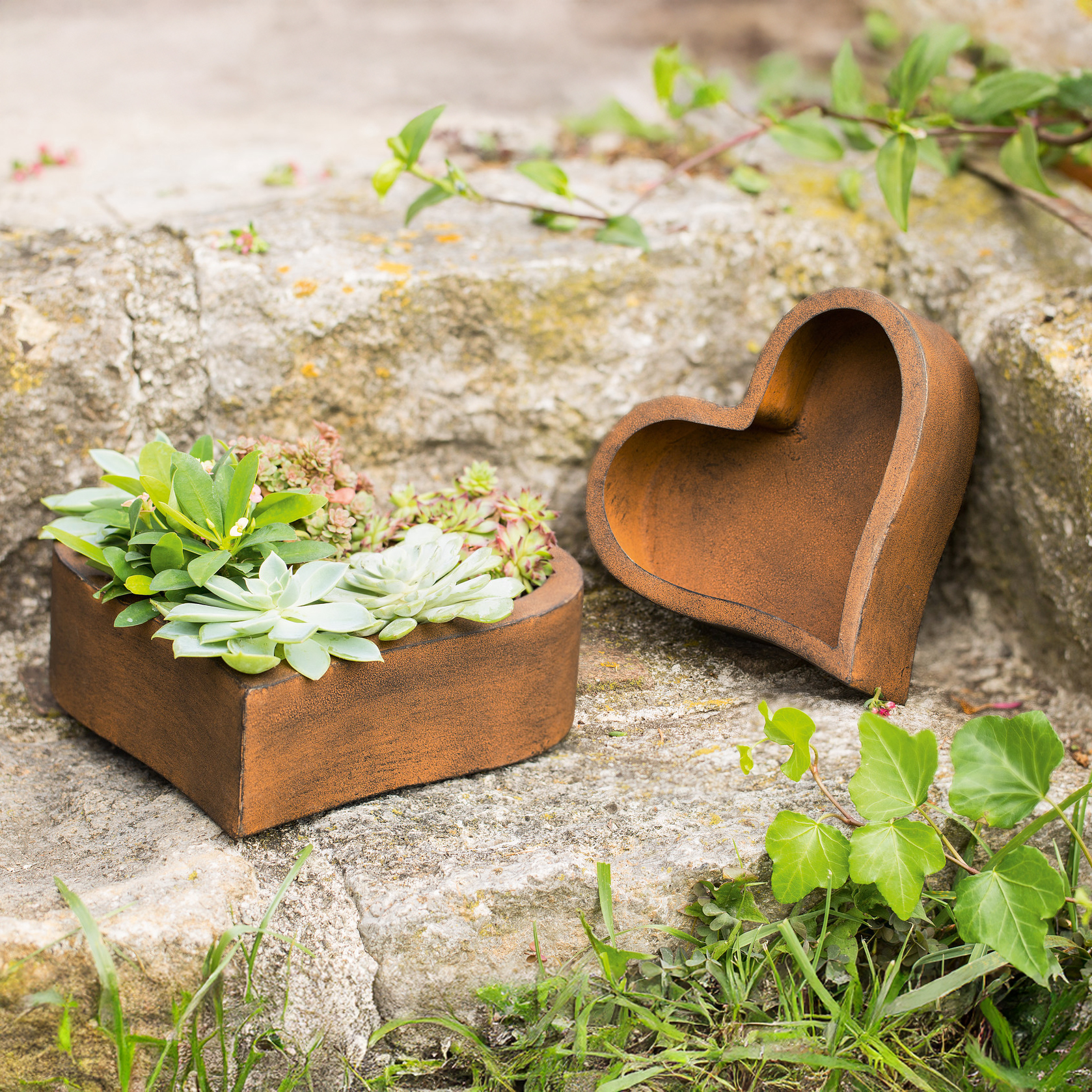 Pflanzer "Rostherz", 2er Set  im Frank Flechtwaren Online Shop kaufen