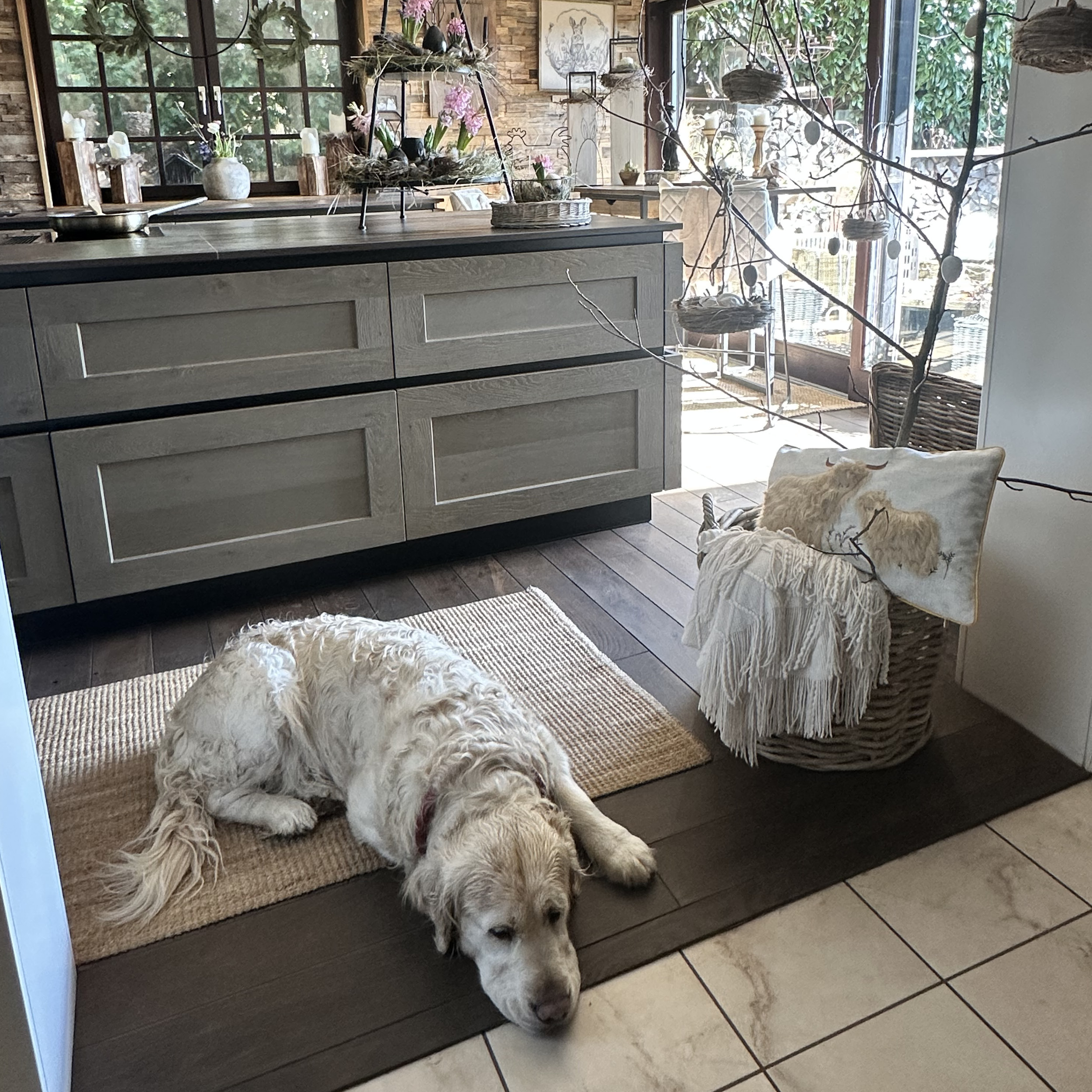 Wohnbereich: naturdekorierter Küchenraum mit Kissen, Korb, Decke und entspannt liegendem Hund