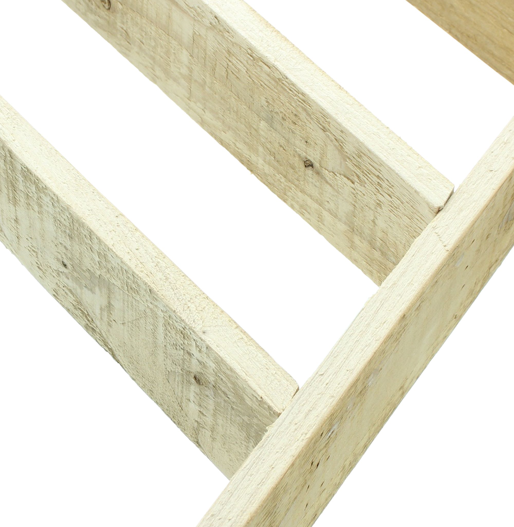 Dekotanne "Rustikal"  im Frank Flechtwaren Online Shop für Tannenbäume kaufen