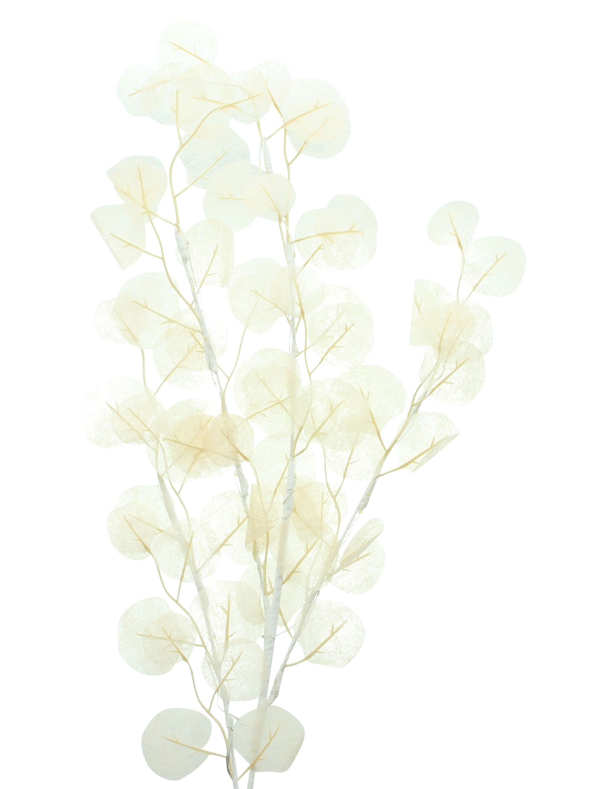LED-Bündel "Soft Leaves" im Frank Flechtwaren Online Shop für Ostern kaufen LED-Bündel "Soft Leaves" im Frank Flechtwaren Online Shop für Ostern kaufen