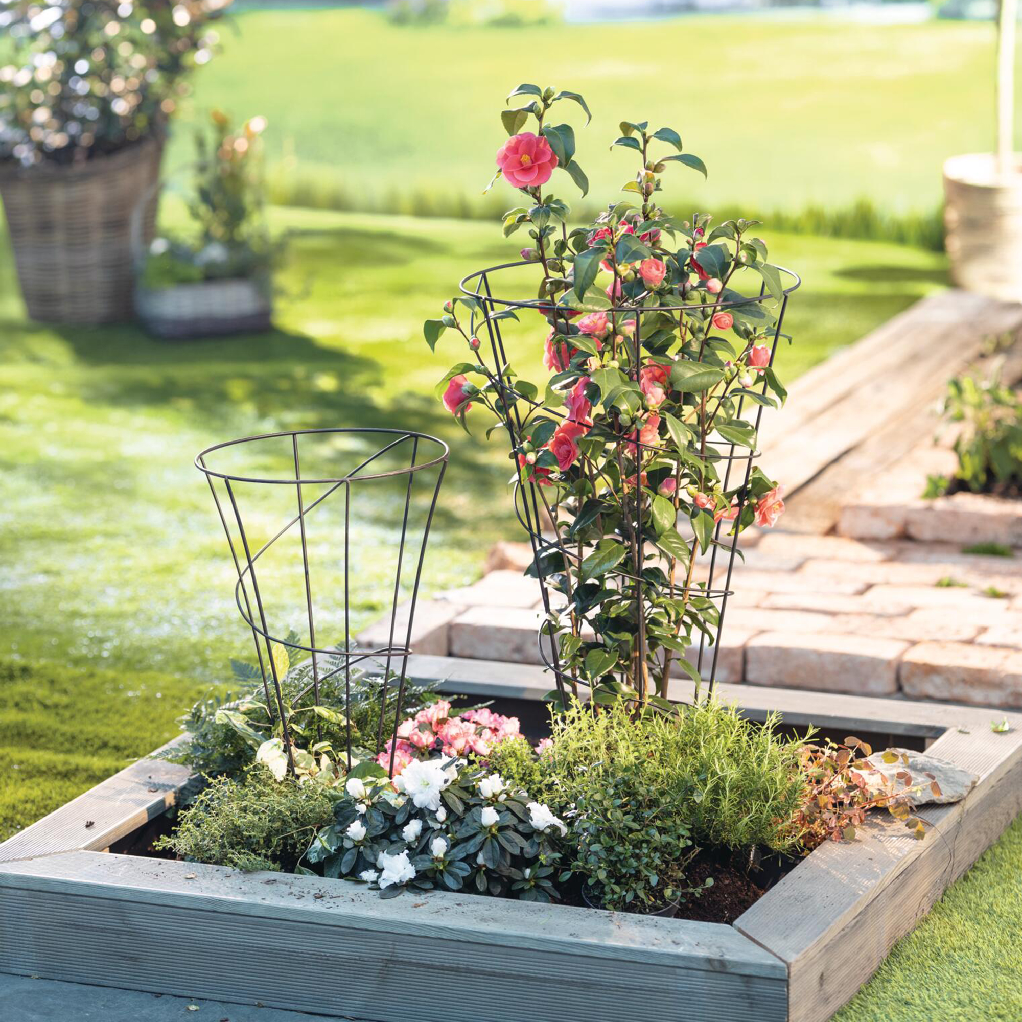 Staudenhalter "Rondell", 2er Set  im Frank Flechtwaren Online Shop für Gerade eingetroffen kaufen