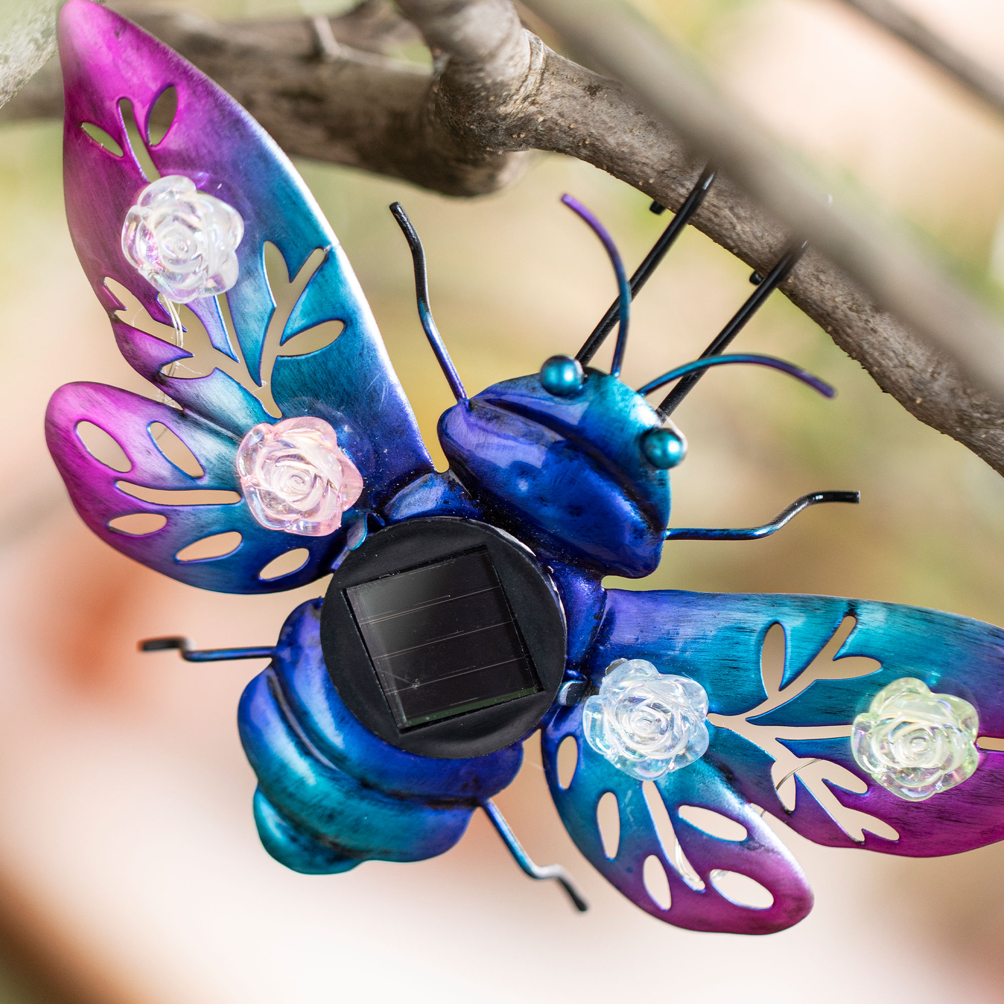 Solar-Deko "Butterfly &amp; Beetle", 2er Set  im Frank Flechtwaren Online Shop für Solar-Beleuchtung kaufen