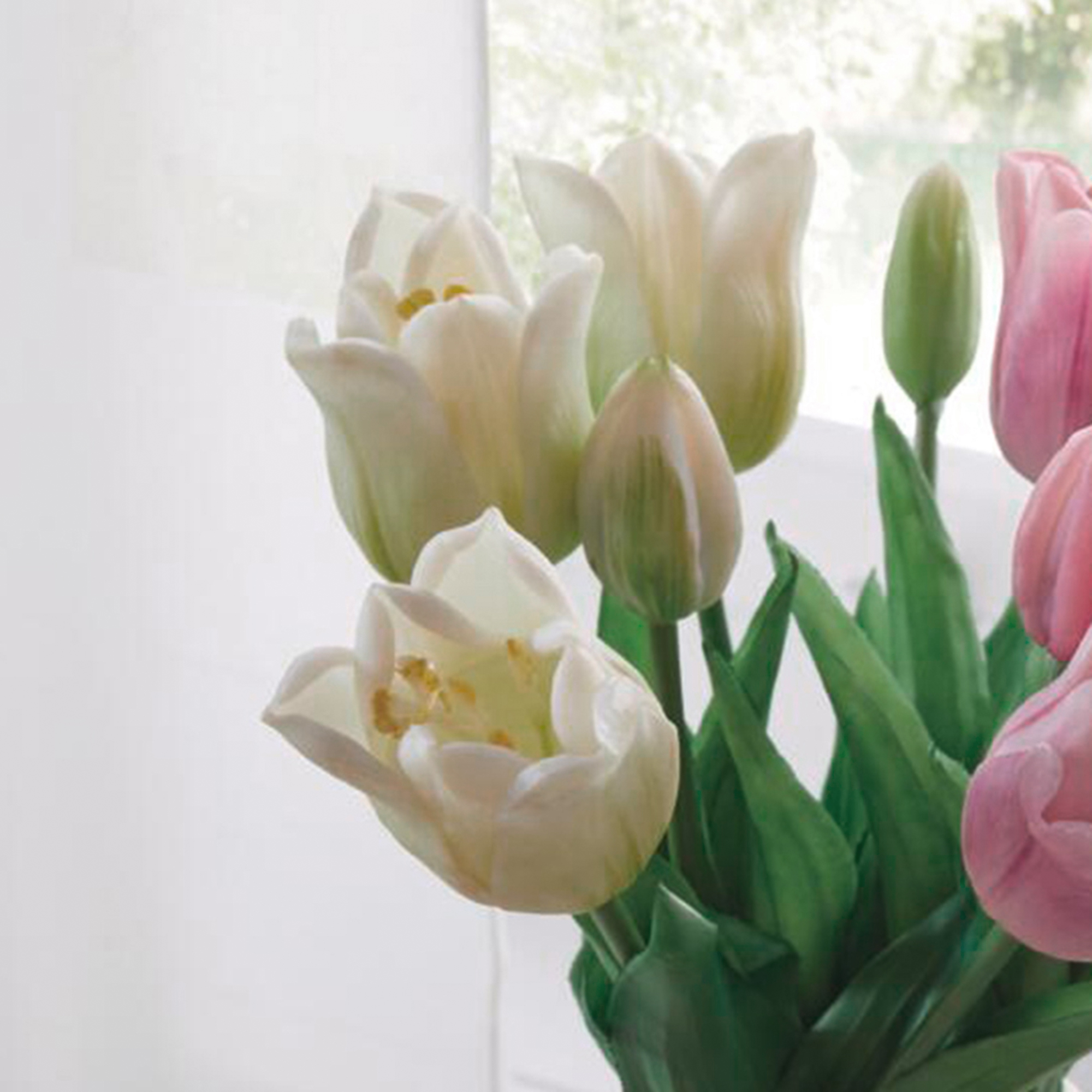 Tulpe "Weiß", 5er Set  im Frank Flechtwaren Online Shop für Bunte Osterzeit kaufen