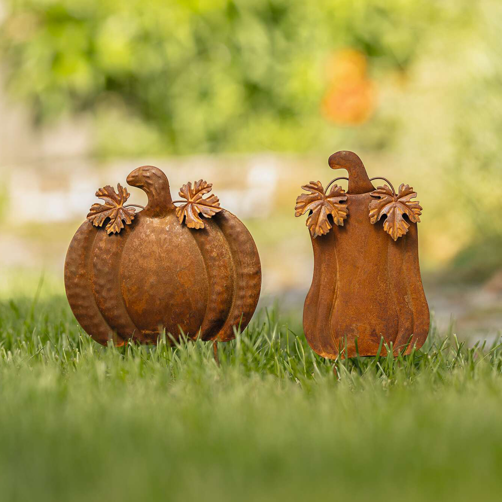 Herbststecker "Kürbis", 2er Set  im Frank Flechtwaren Online Shop kaufen