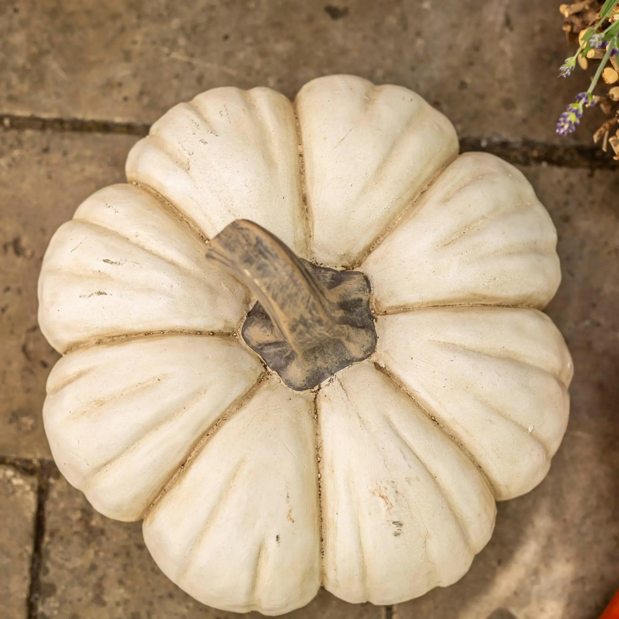 Deko-Kürbis "White Pumpkin"  im Frank Flechtwaren Online Shop für Dekokürbisse kaufen