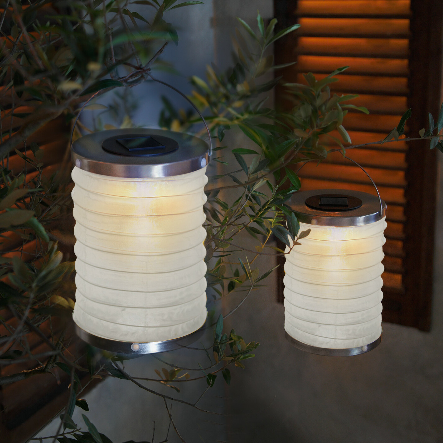 LED-Lampion "Solar", 2er Set  im Frank Flechtwaren Online Shop kaufen