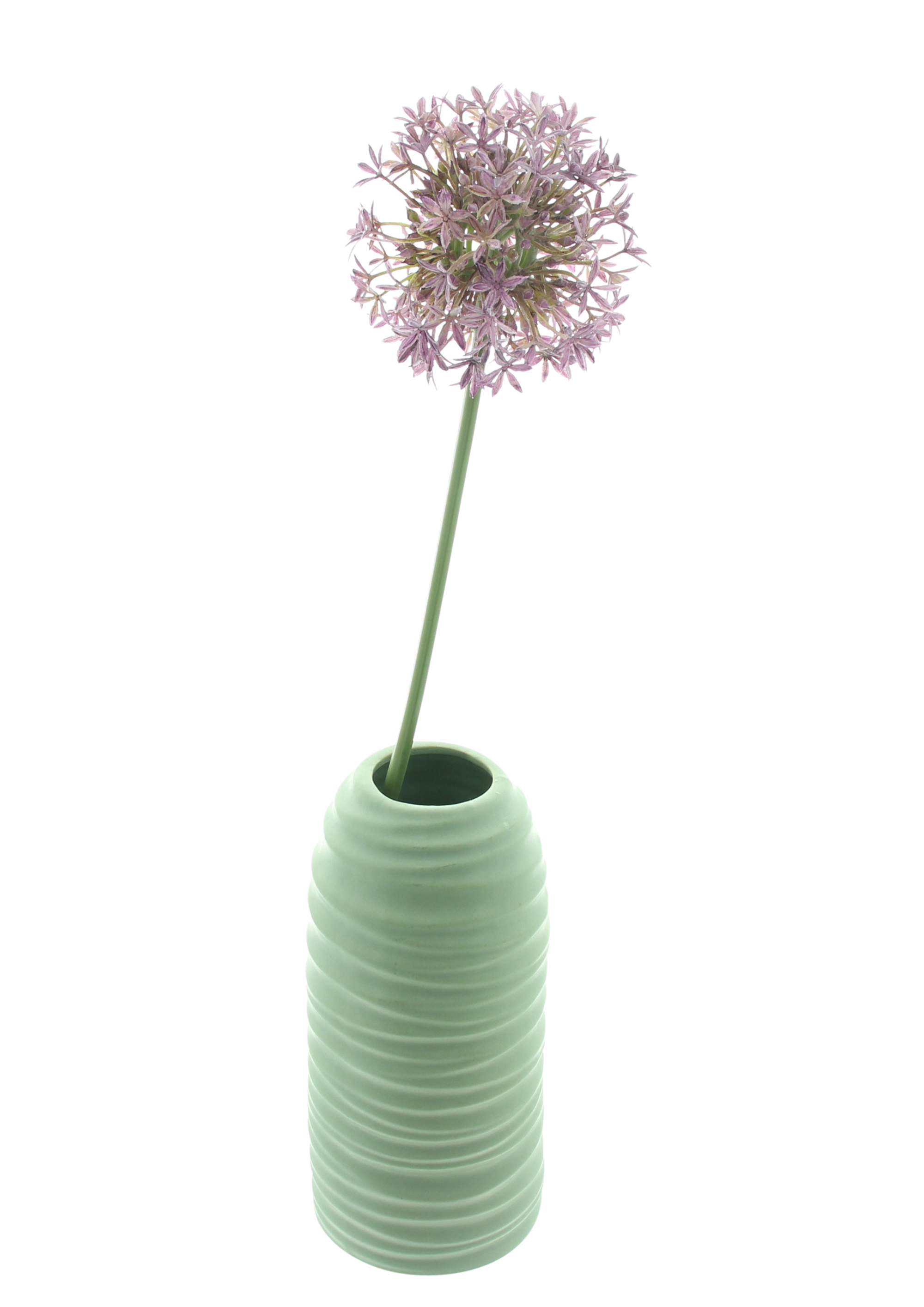Blume "Allium"  im Frank Flechtwaren Online Shop für Kunstpflanzen kaufen