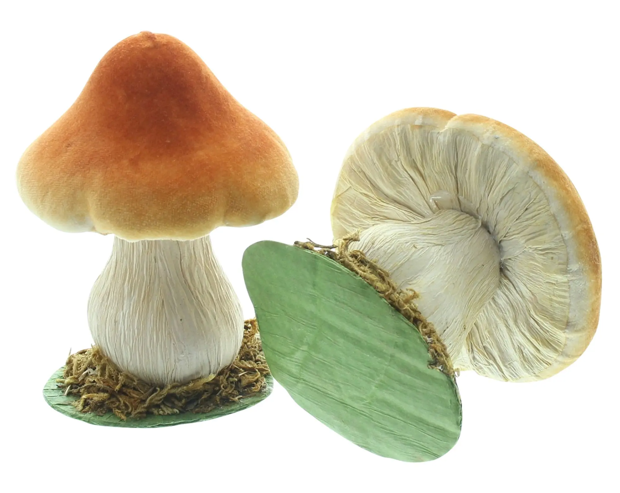 Herbst-Deko "Pilzchen", 2er Set  im Frank Flechtwaren Online Shop für Waldspaziergang kaufen