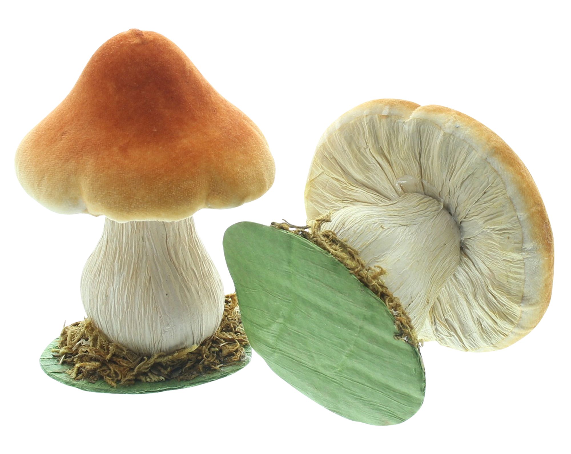 Herbst-Deko "Pilzchen", 2er Set  im Frank Flechtwaren Online Shop für Dekopilze kaufen