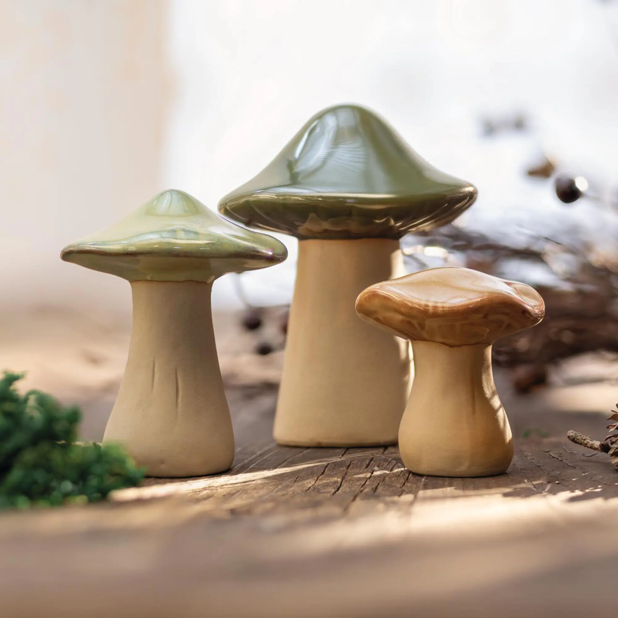 Deko-Pilz "Savanna", 3er Set  im Frank Flechtwaren Online Shop kaufen
