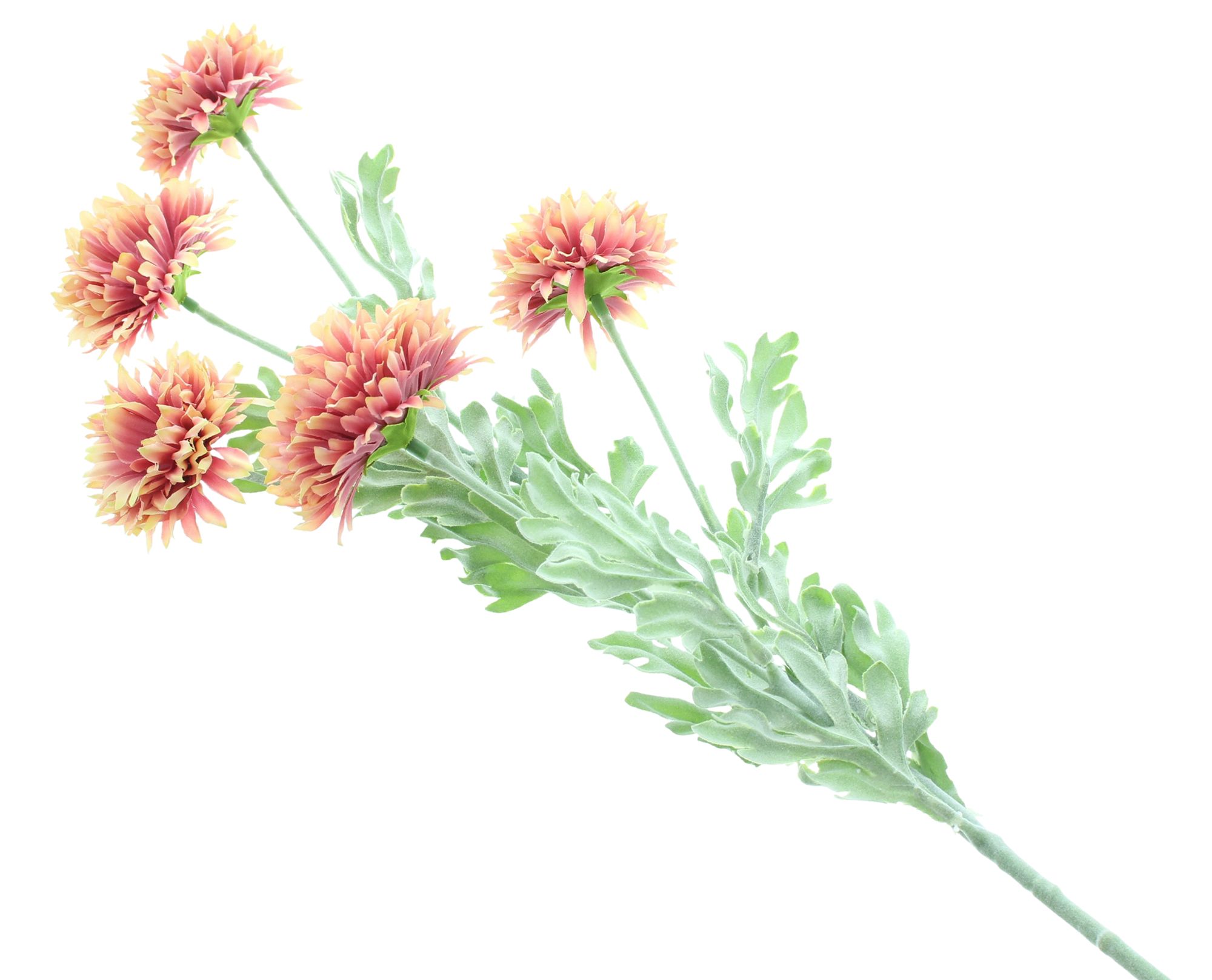 Blume "Dahlia", 3er Set im Frank Flechtwaren Online Shop für Herbst kaufen Blume "Dahlia", 3er Set im Frank Flechtwaren Online Shop für Herbst kaufen