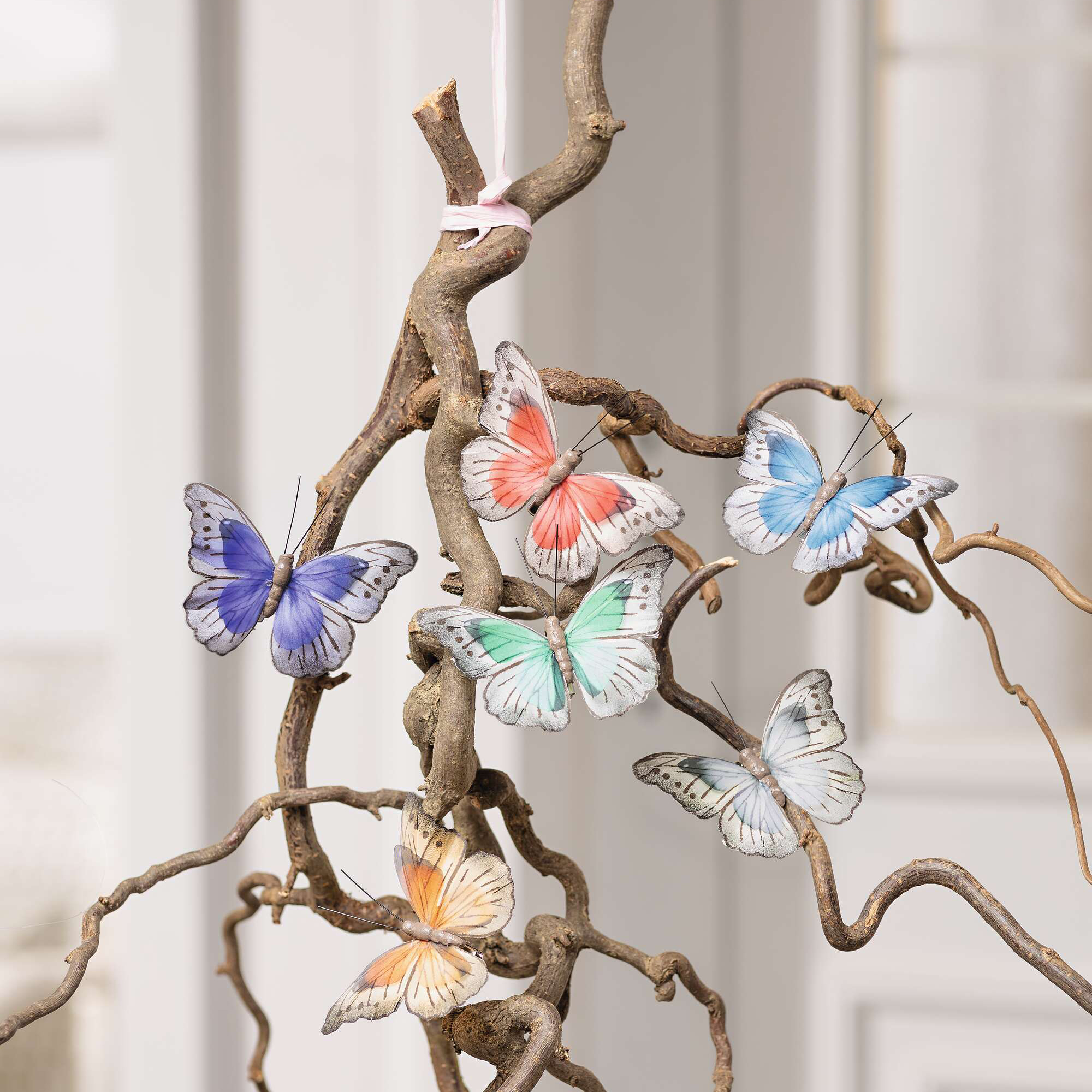 Clip "Schmetterlinge", 6er Set im Frank Flechtwaren Online Shop für Ostern kaufen Clip "Schmetterlinge", 6er Set im Frank Flechtwaren Online Shop für Ostern kaufen