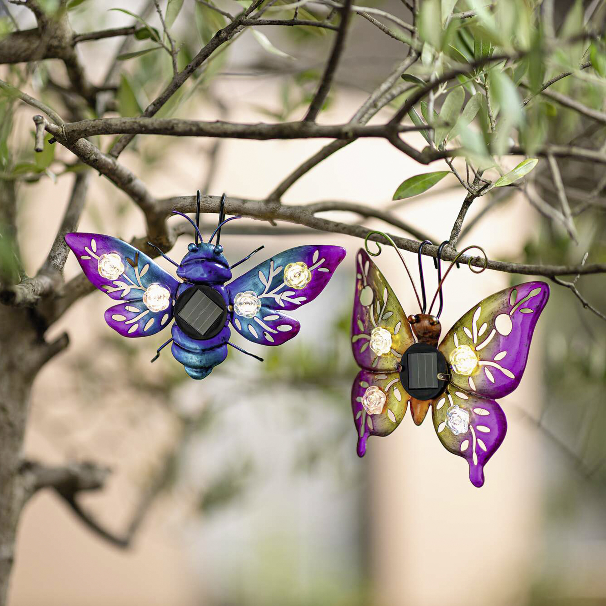Solar-Deko "Butterfly &amp; Beetle", 2er Set  im Frank Flechtwaren Online Shop kaufen