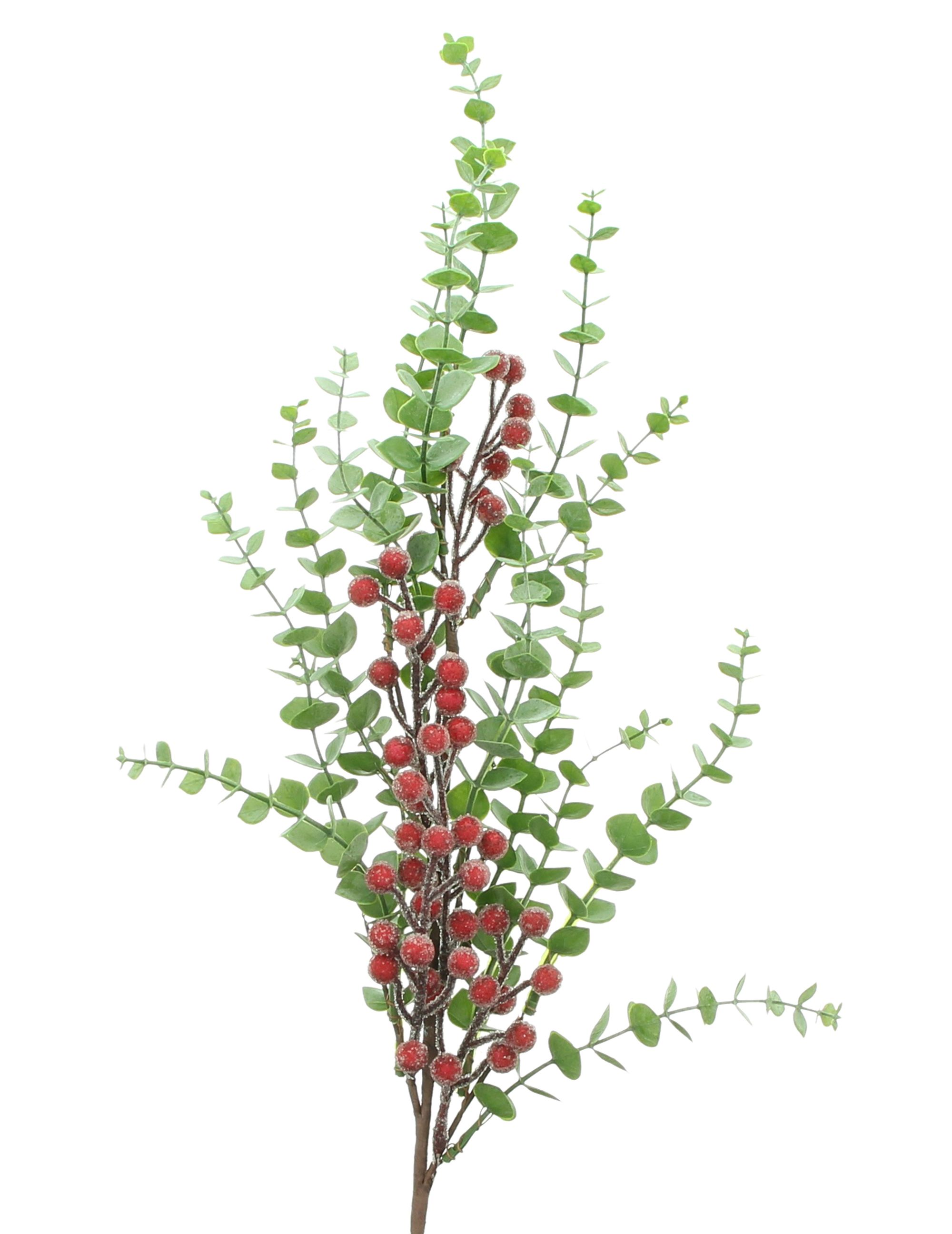 Zweig "Frostbeeren" im Frank Flechtwaren Online Shop für Weihnachten kaufen Zweig "Frostbeeren" im Frank Flechtwaren Online Shop für Weihnachten kaufen