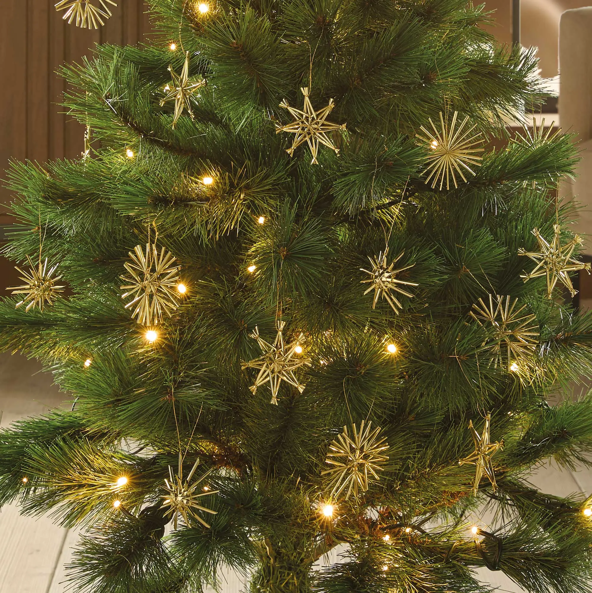 Weihnachtsstern "Gold", 32er Set  im Frank Flechtwaren Online Shop kaufen