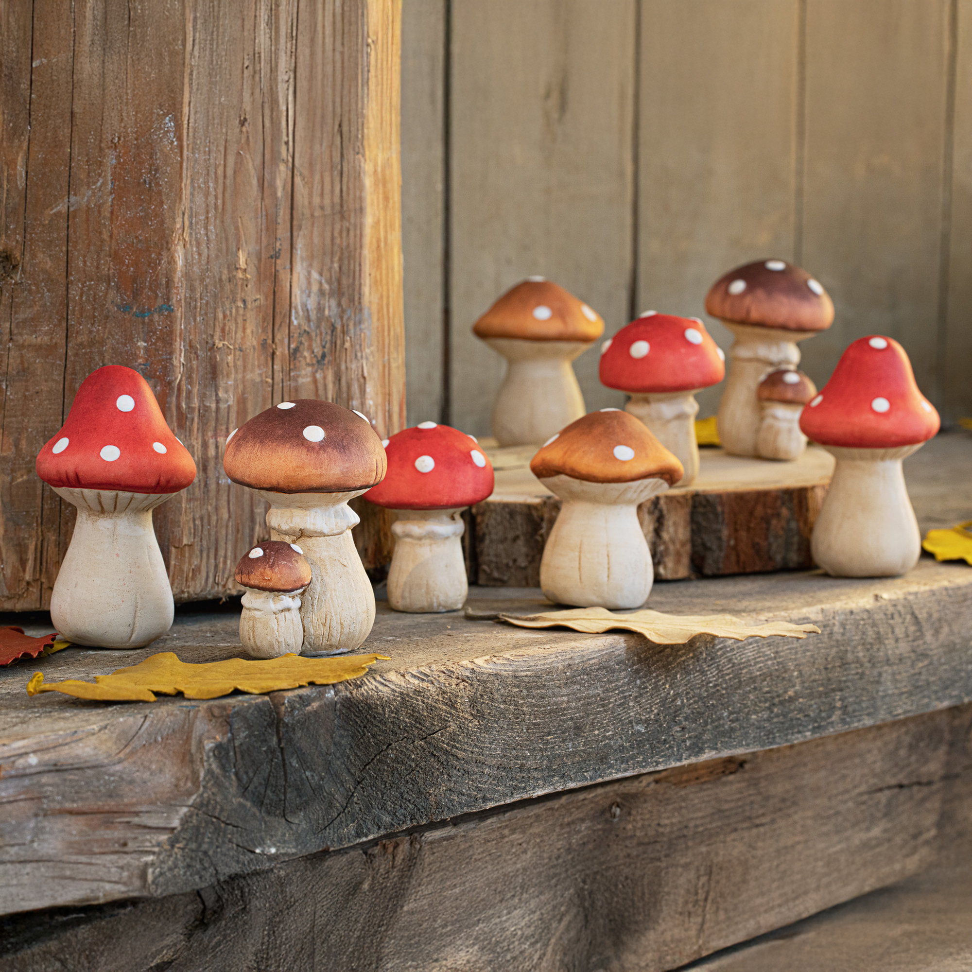 Fliegenpilz "Petit", 8er Set  im Frank Flechtwaren Online Shop kaufen