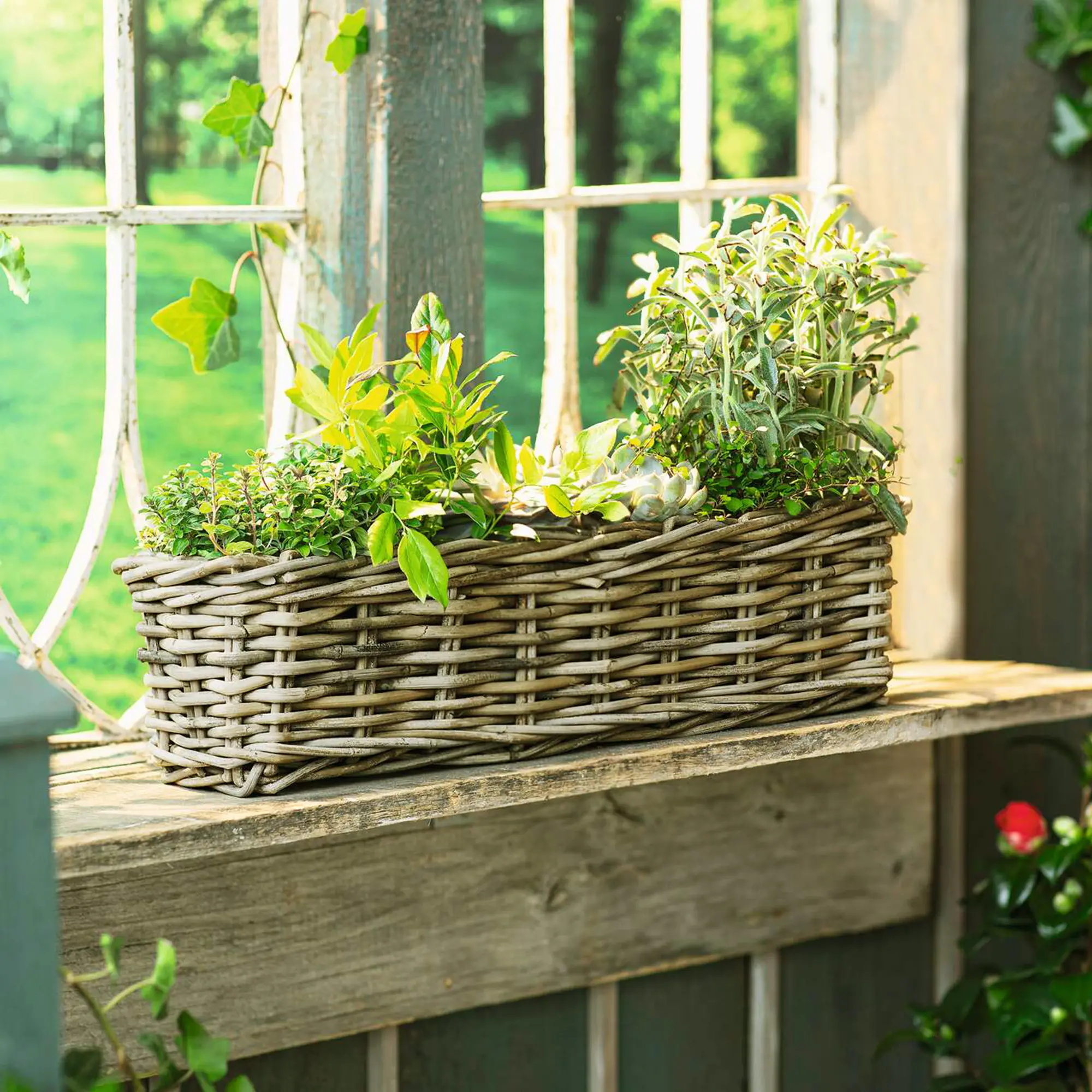 Pflanzkasten "Rattan", groß  im Frank Flechtwaren Online Shop kaufen