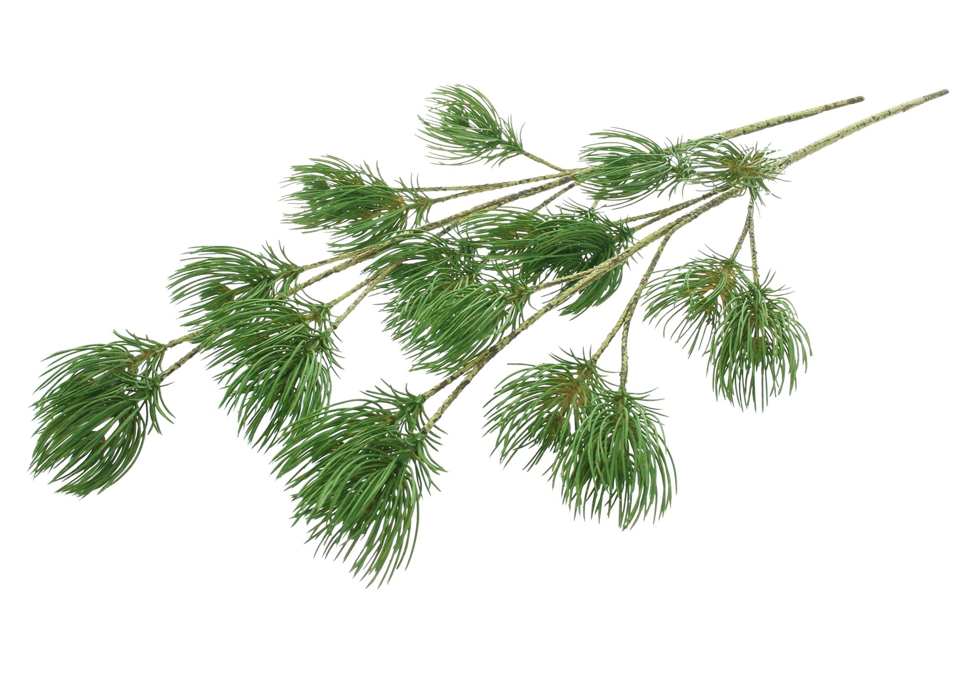 Kunstzweig "Pinie", 2er Set  im Frank Flechtwaren Online Shop für Zubehör für Adventskränze kaufen