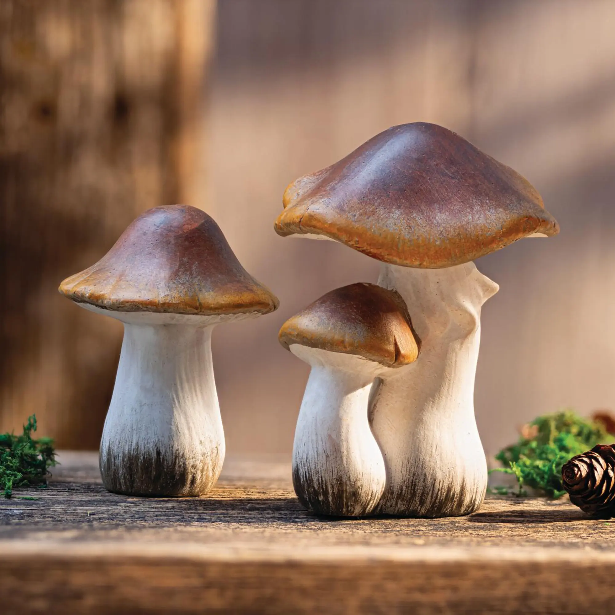 Deko-Pilz "Brownie", 2er Set  im Frank Flechtwaren Online Shop kaufen