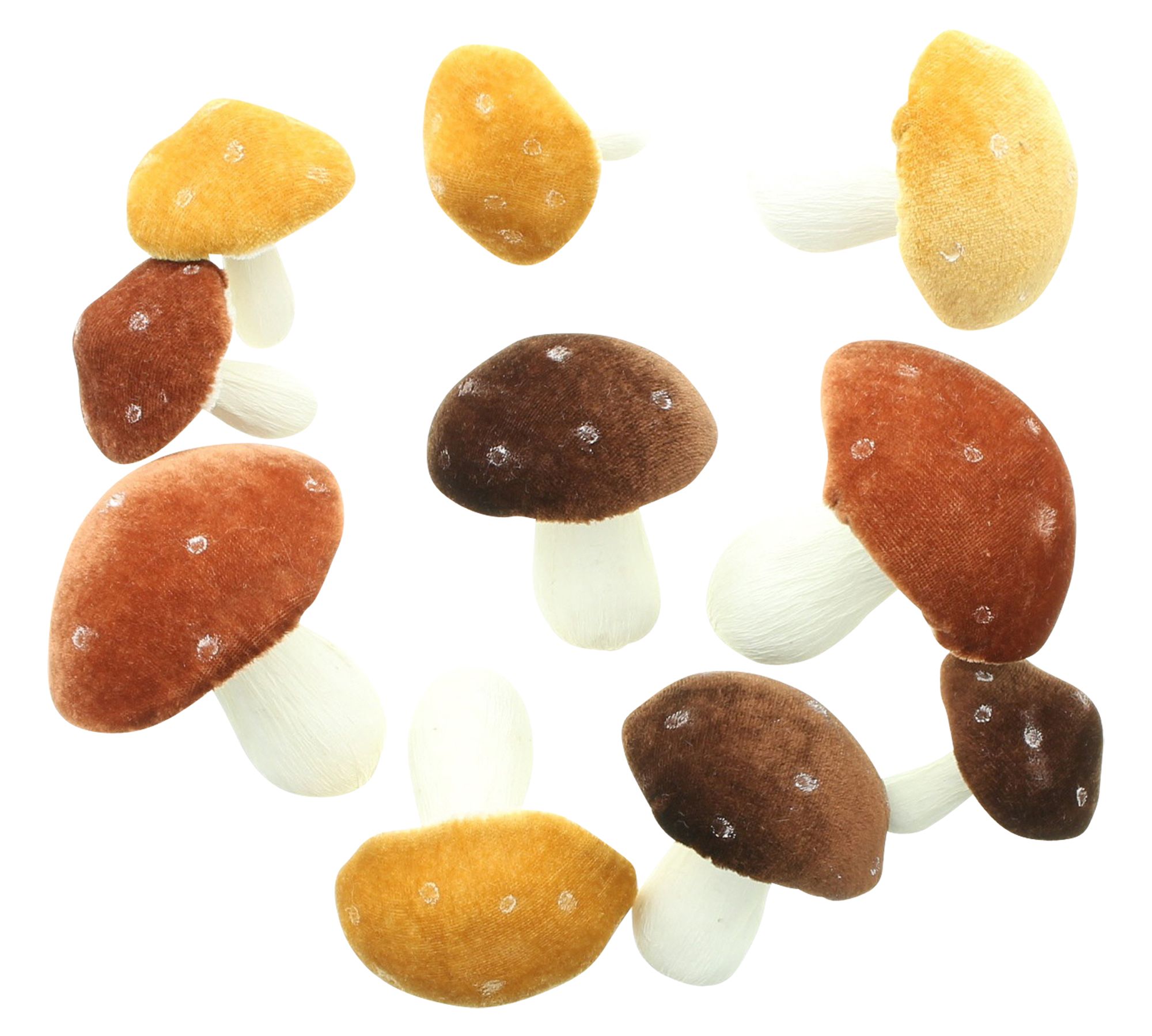Pilz "Velvet", 10er Set  im Frank Flechtwaren Online Shop für Herbst kaufen
