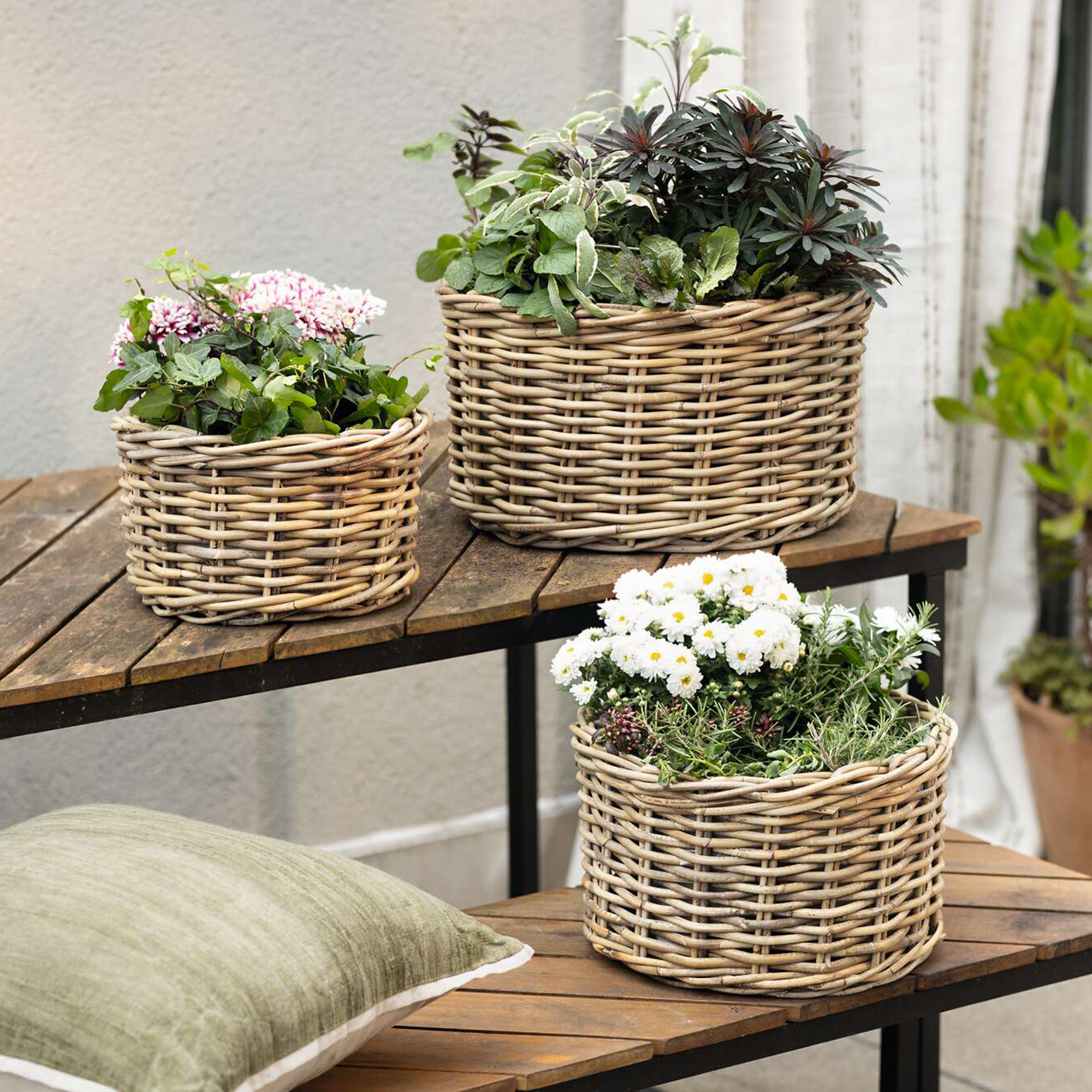 Pflanzkorb "Rattan", 3er Set  im Frank Flechtwaren Online Shop kaufen