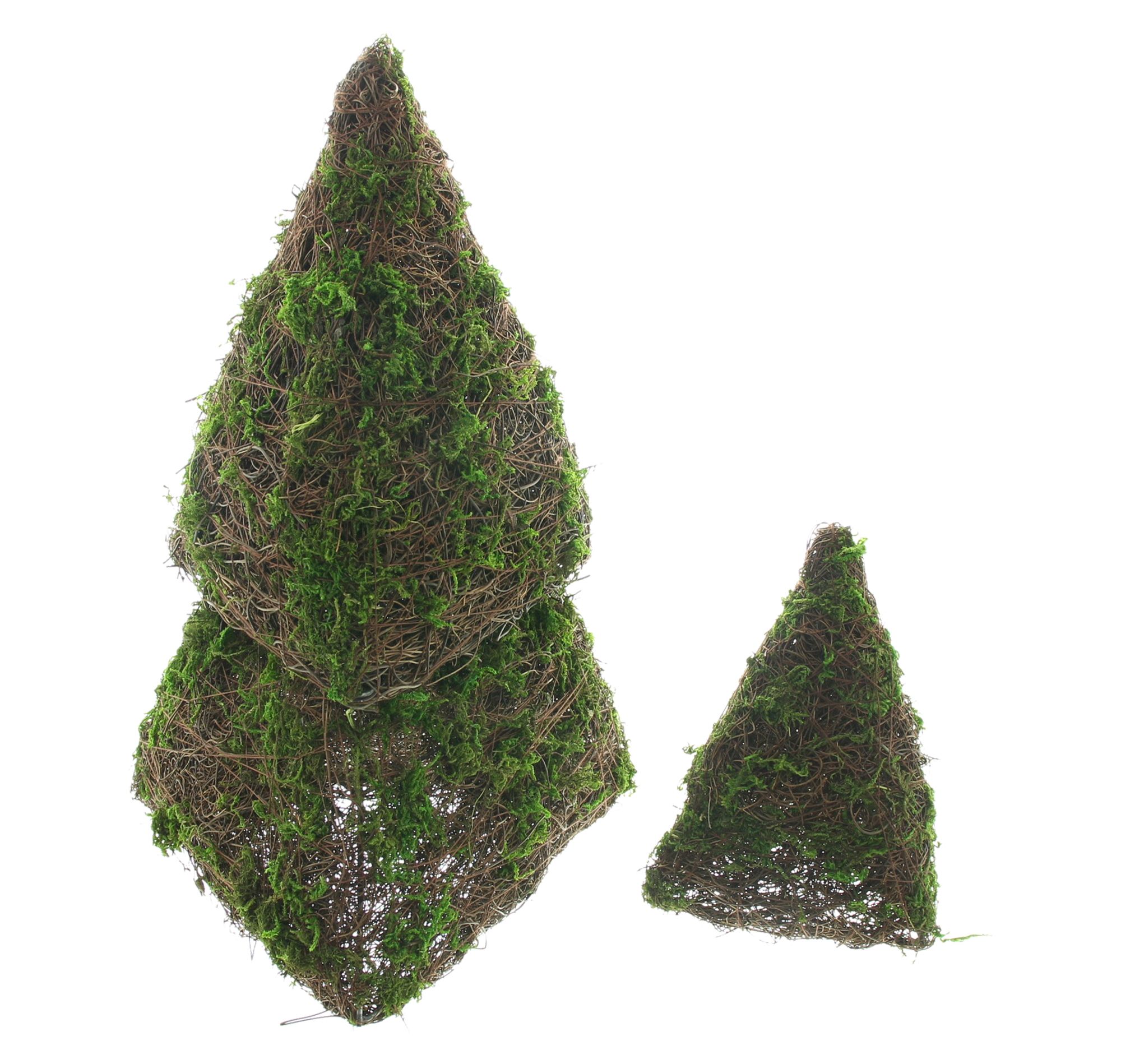Tannenpyramide "Moos", 3er Set  im Frank Flechtwaren Online Shop für Gerade eingetroffen kaufen