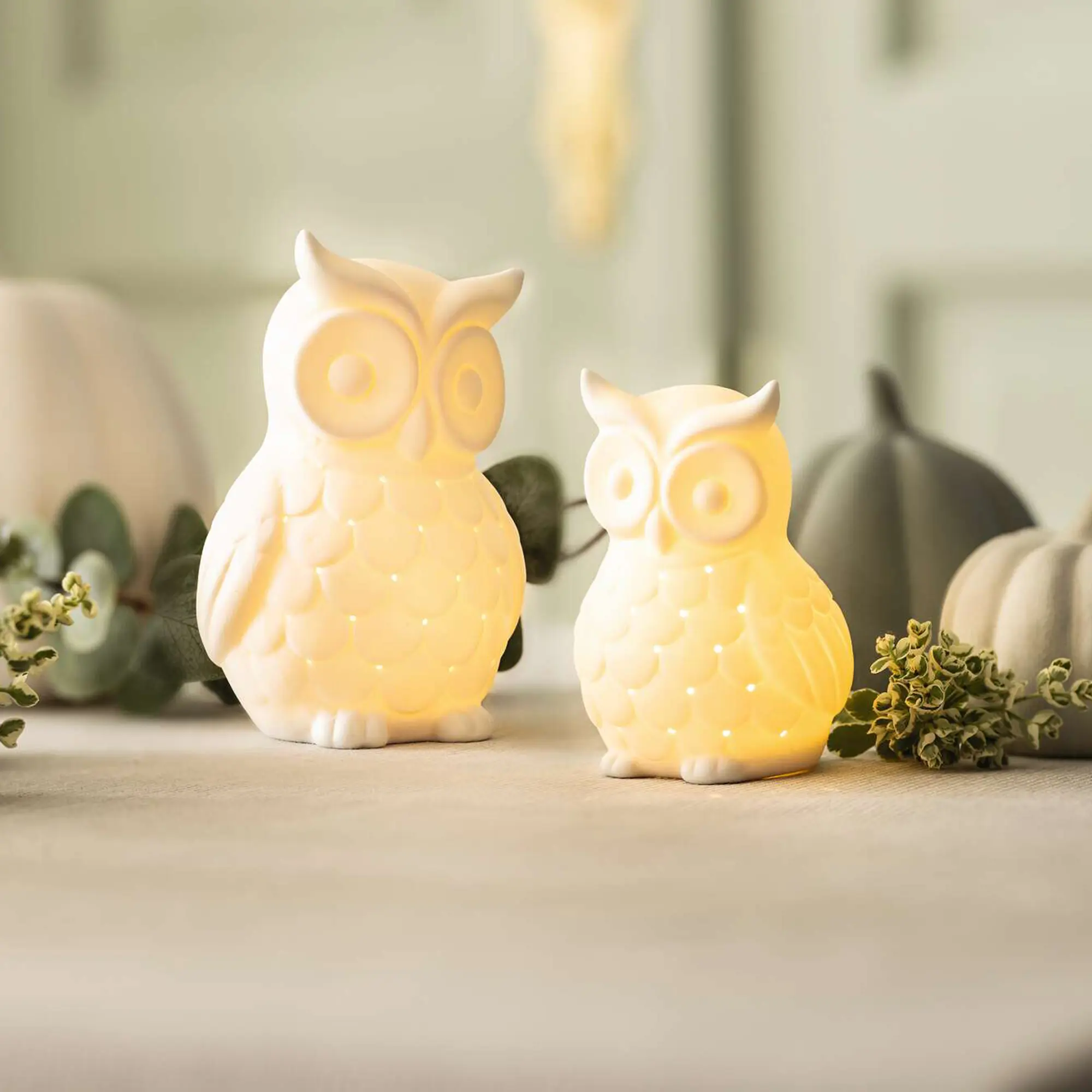 LED-Eule "White", 2er Set  im Frank Flechtwaren Online Shop kaufen