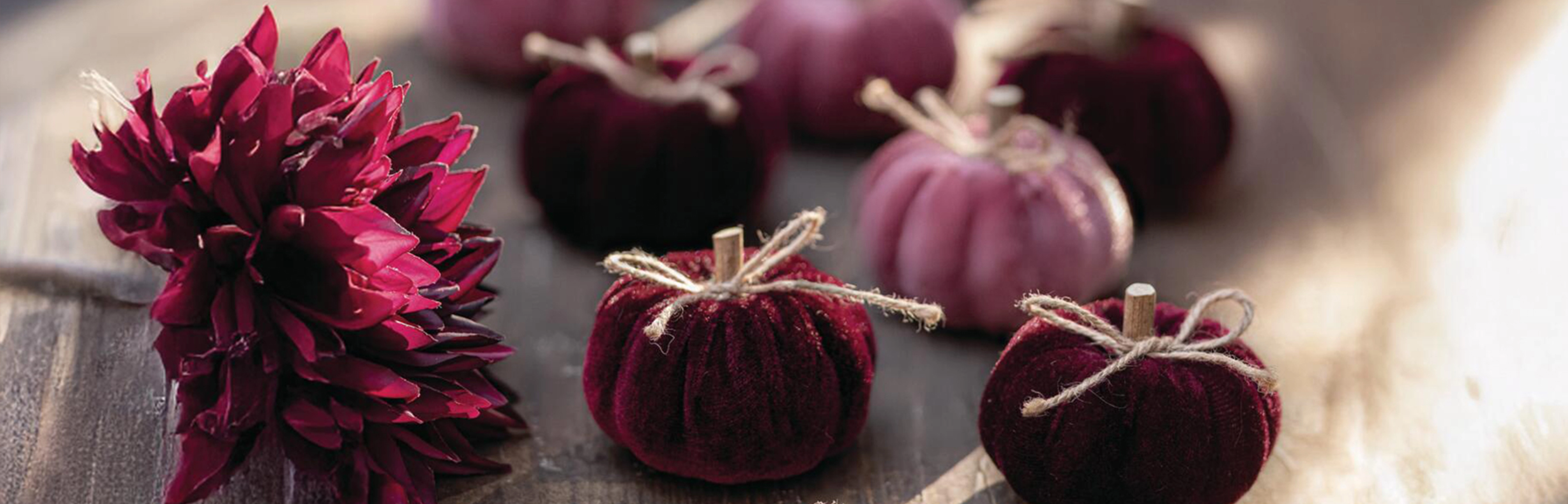Herbstdeko: bordeauxfarbene Samtkürbisse und rote Dahlie als elegante Tischdekoration in Beerentönen