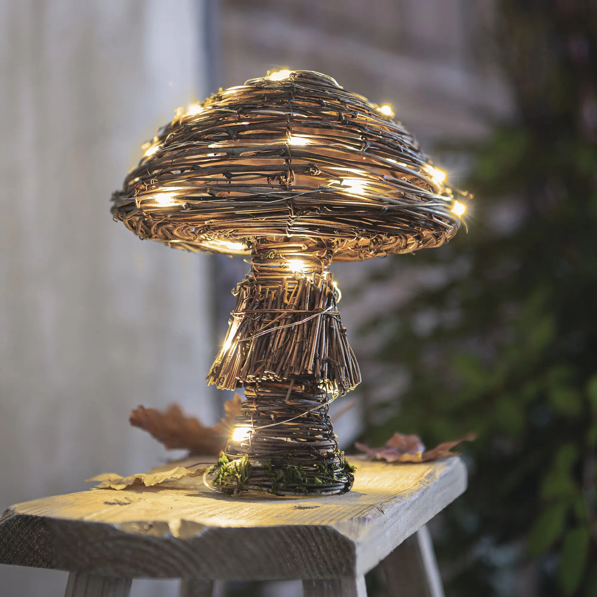 LED-Pilz "Rustic"  im Frank Flechtwaren Online Shop kaufen