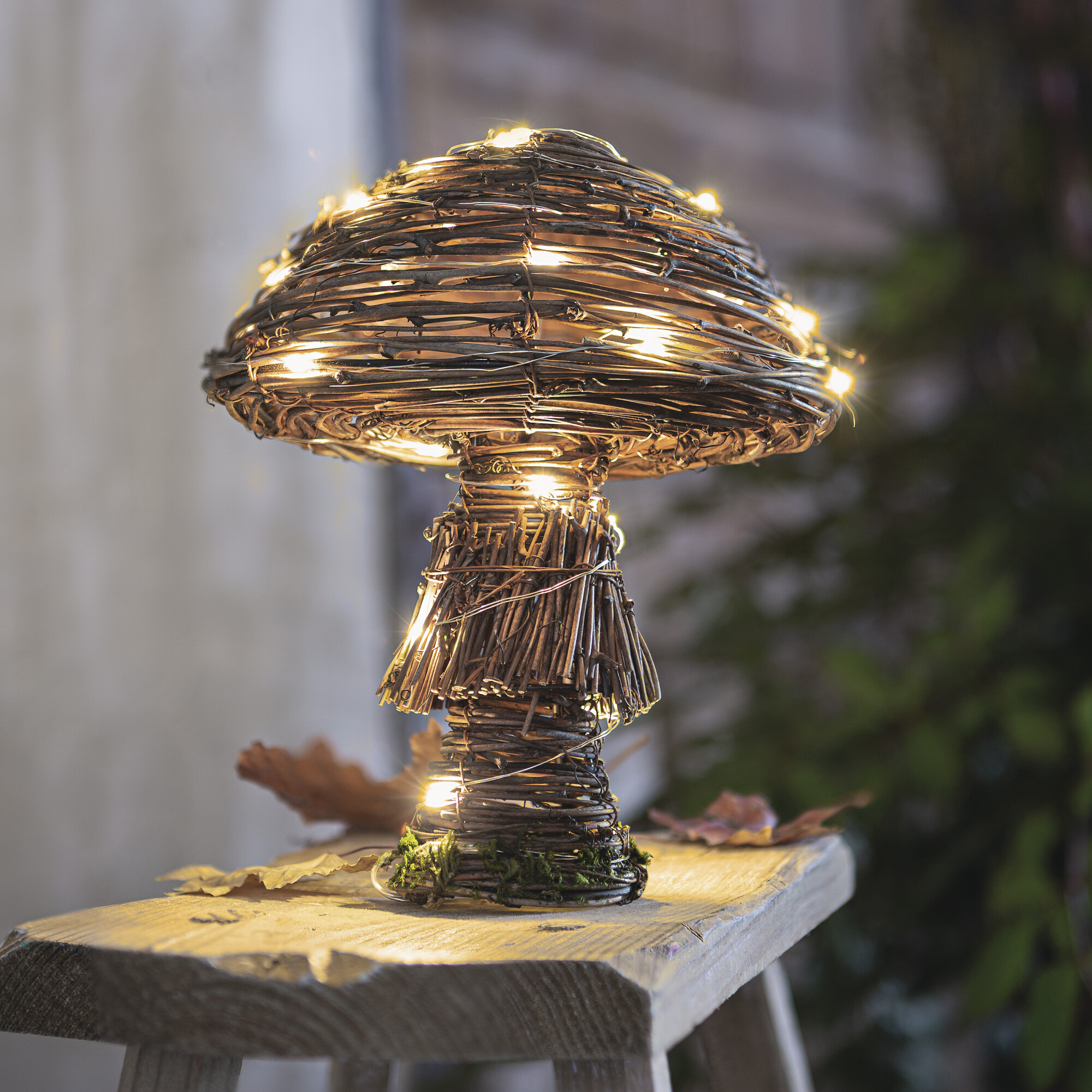 Acheter Champignon LED "rustique"  dans la boutique en ligne de Frank Flechtwaren