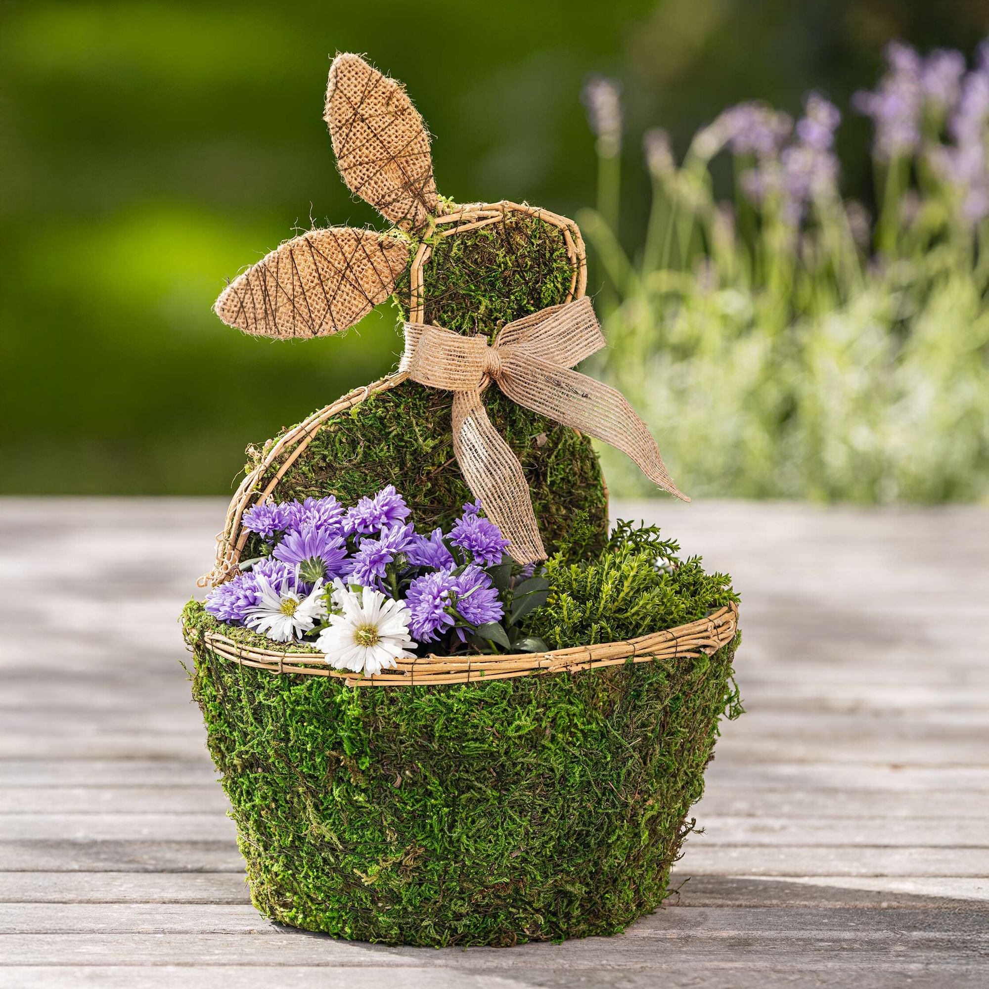 Moospflanzer "Hase"  im Frank Flechtwaren Online Shop kaufen